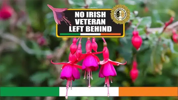 Veteran Supporting Veterans - Irish Life Dublin Marathon campaign photo, 2 of 4
