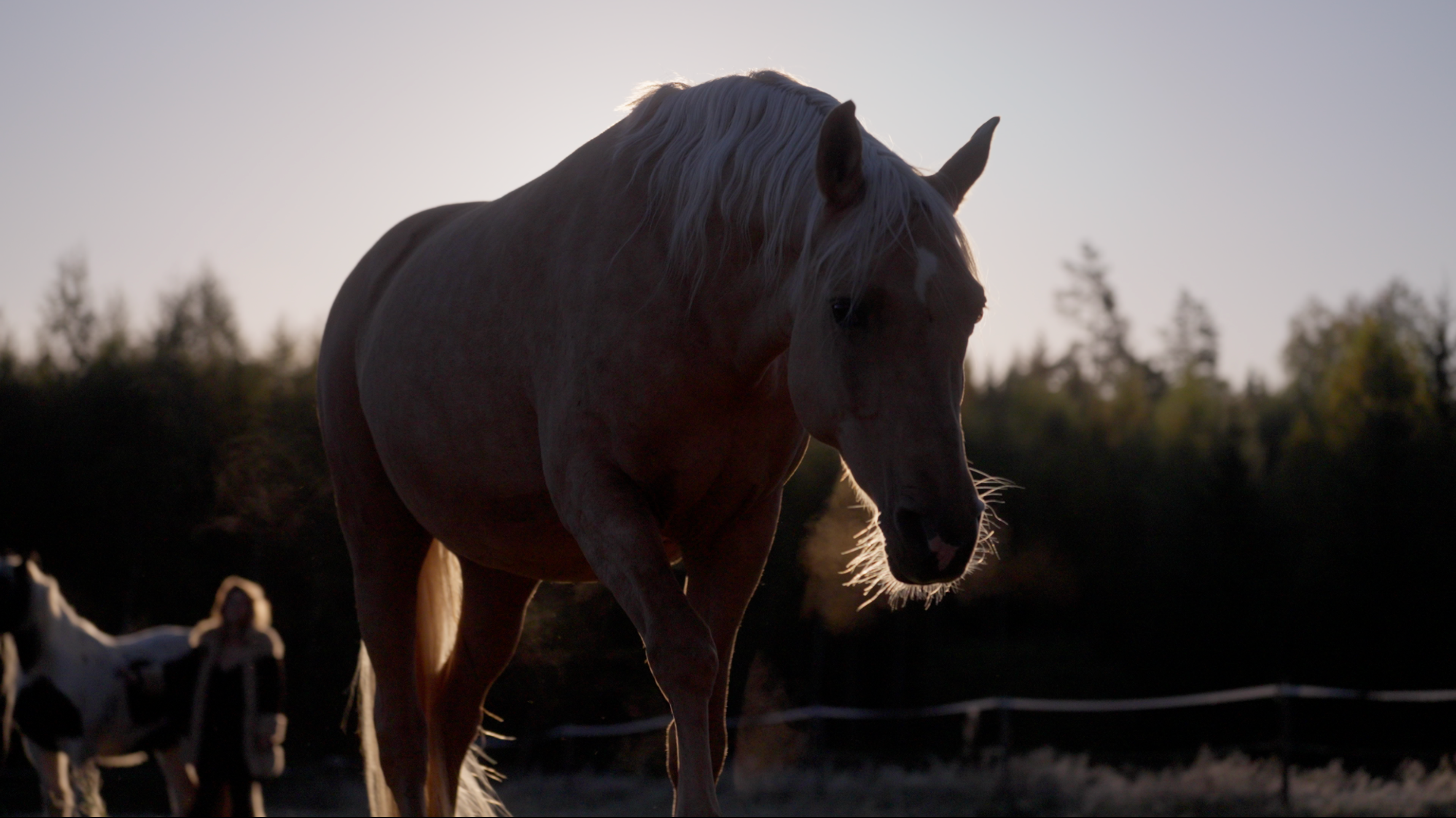 Help us, share this story and finish our film campaign photo, 4 of 8