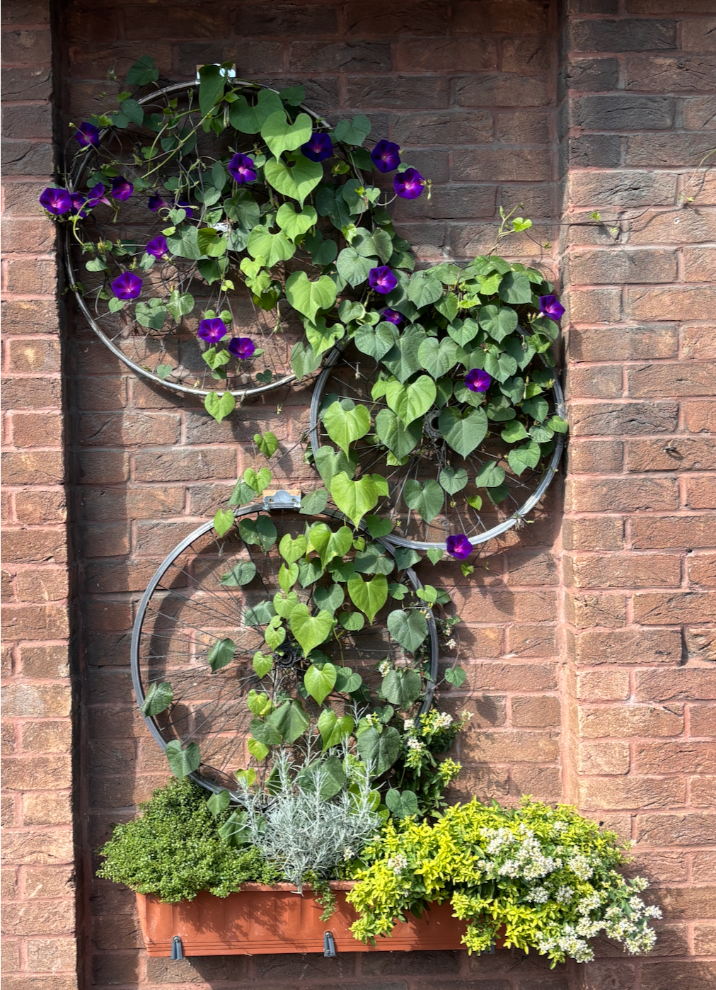 Stonehouse in Bloom renovation and sustainability challenge campaign photo, 7 of 8