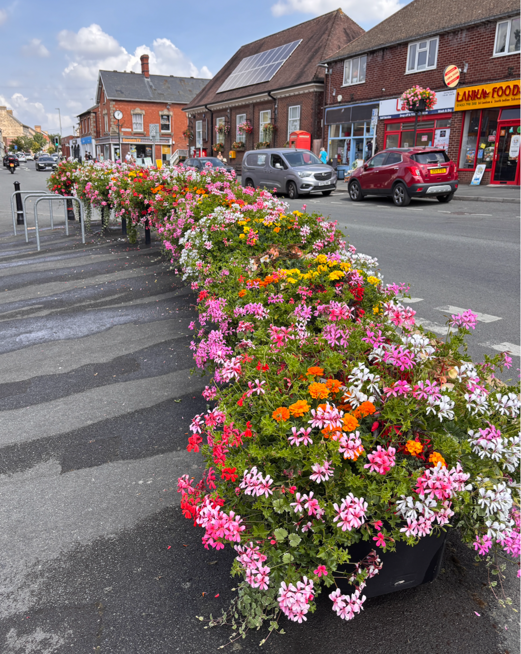 Stonehouse in Bloom renovation and sustainability challenge campaign photo, 4 of 8