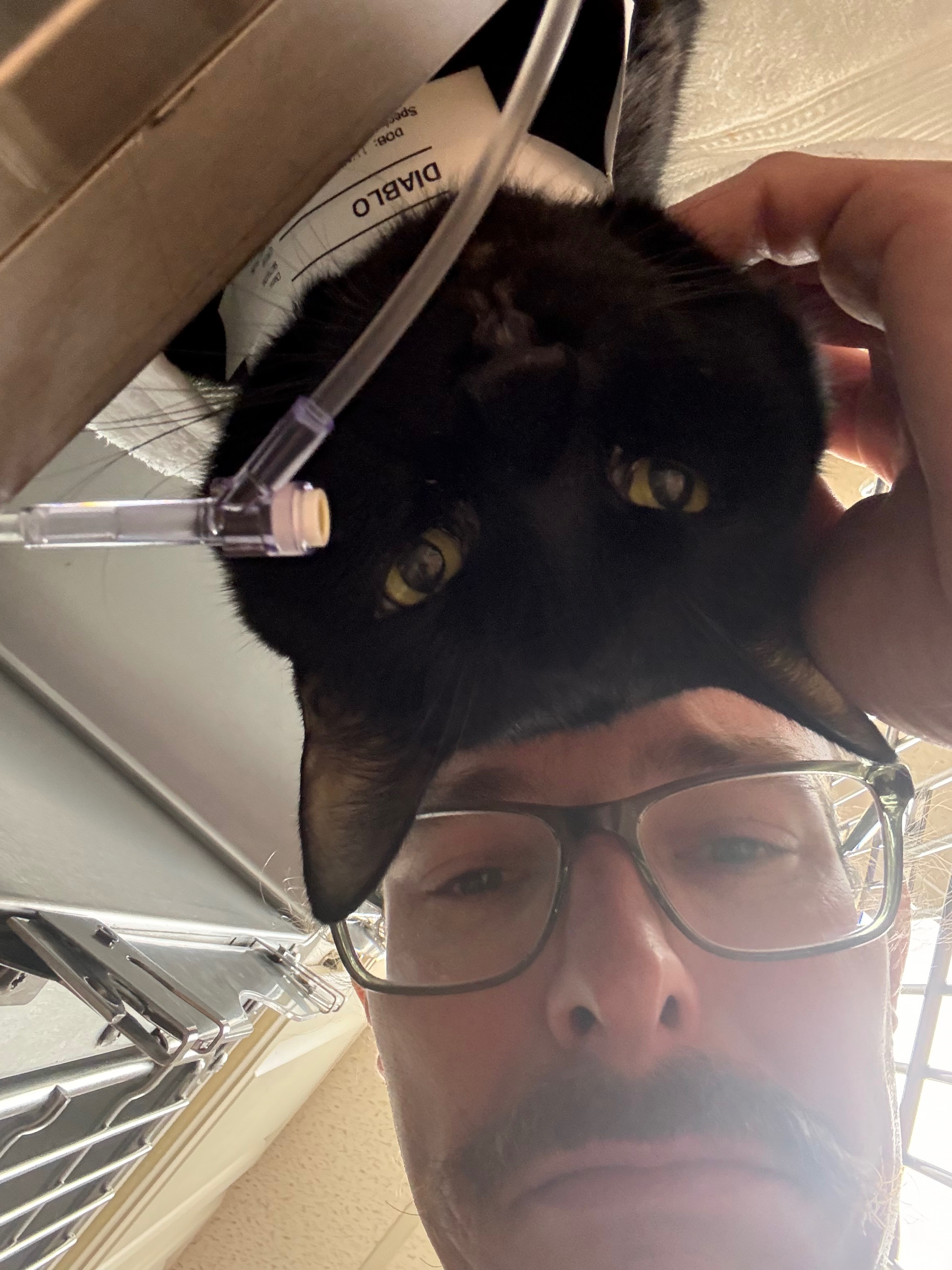 Diablo's Ongoing Ketoacidosis Care campaign photo, 7 of 8