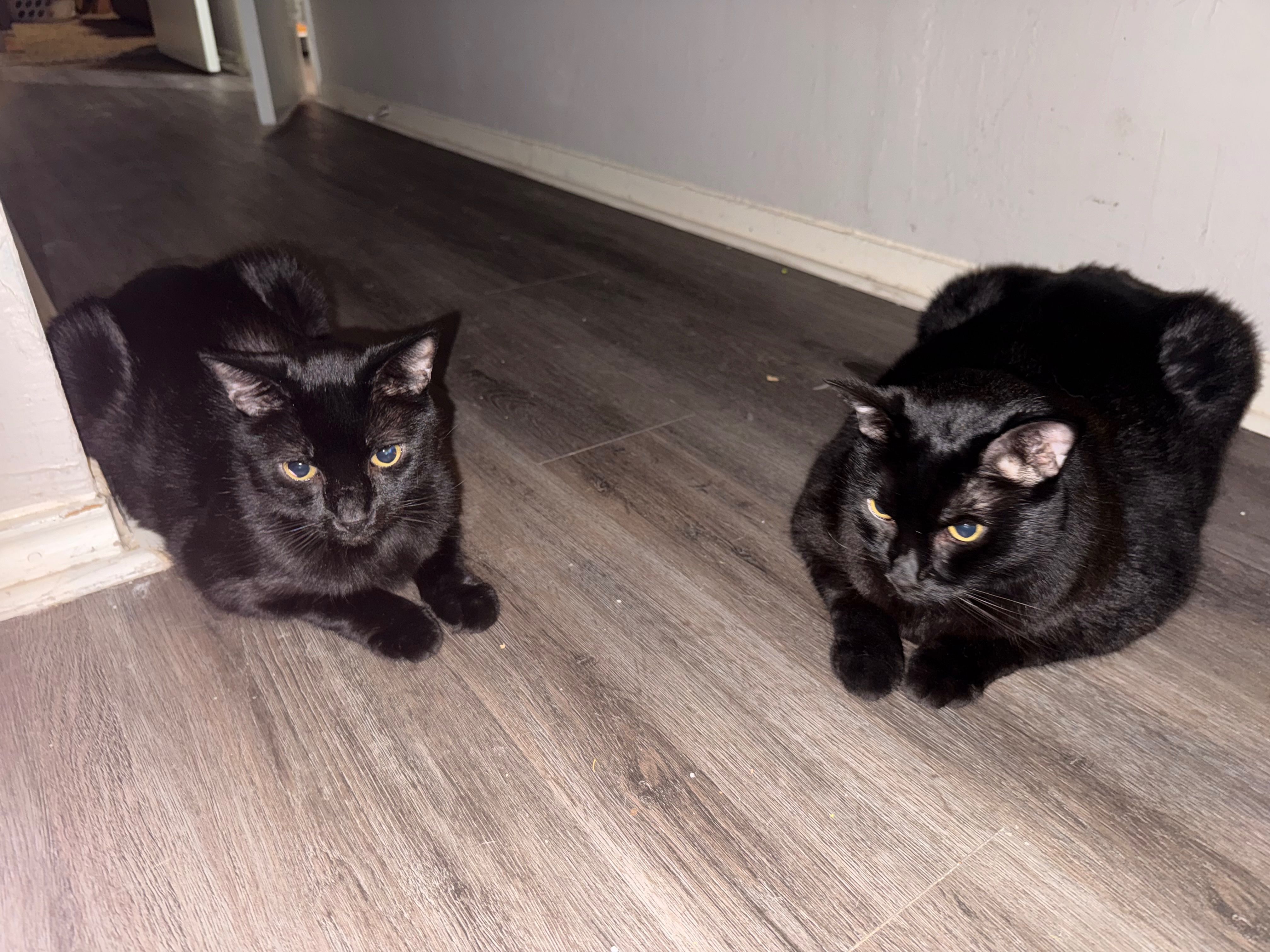 Diablo's Ongoing Ketoacidosis Care campaign photo, 2 of 8