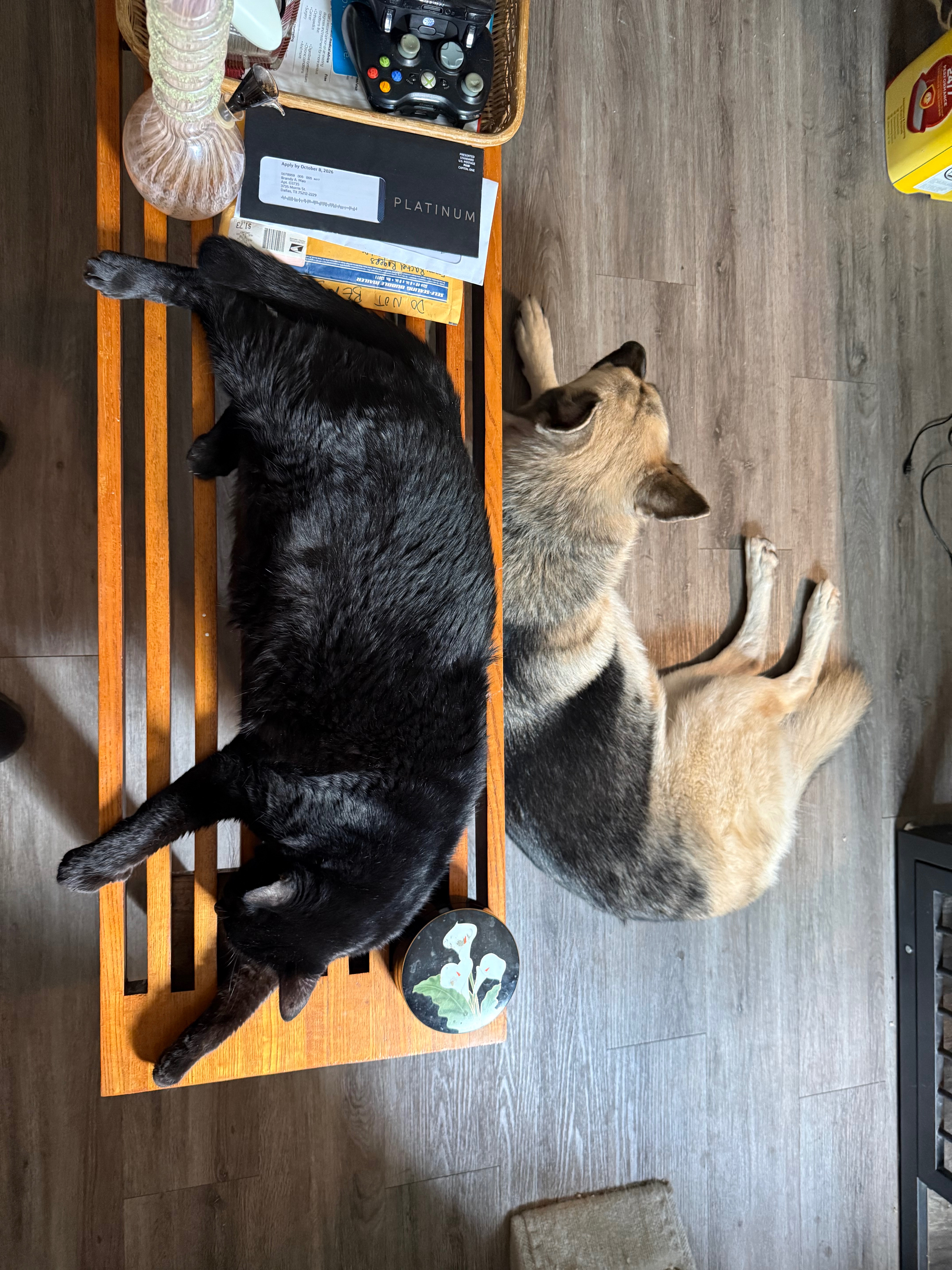 Diablo's Ongoing Ketoacidosis Care campaign photo, 6 of 8