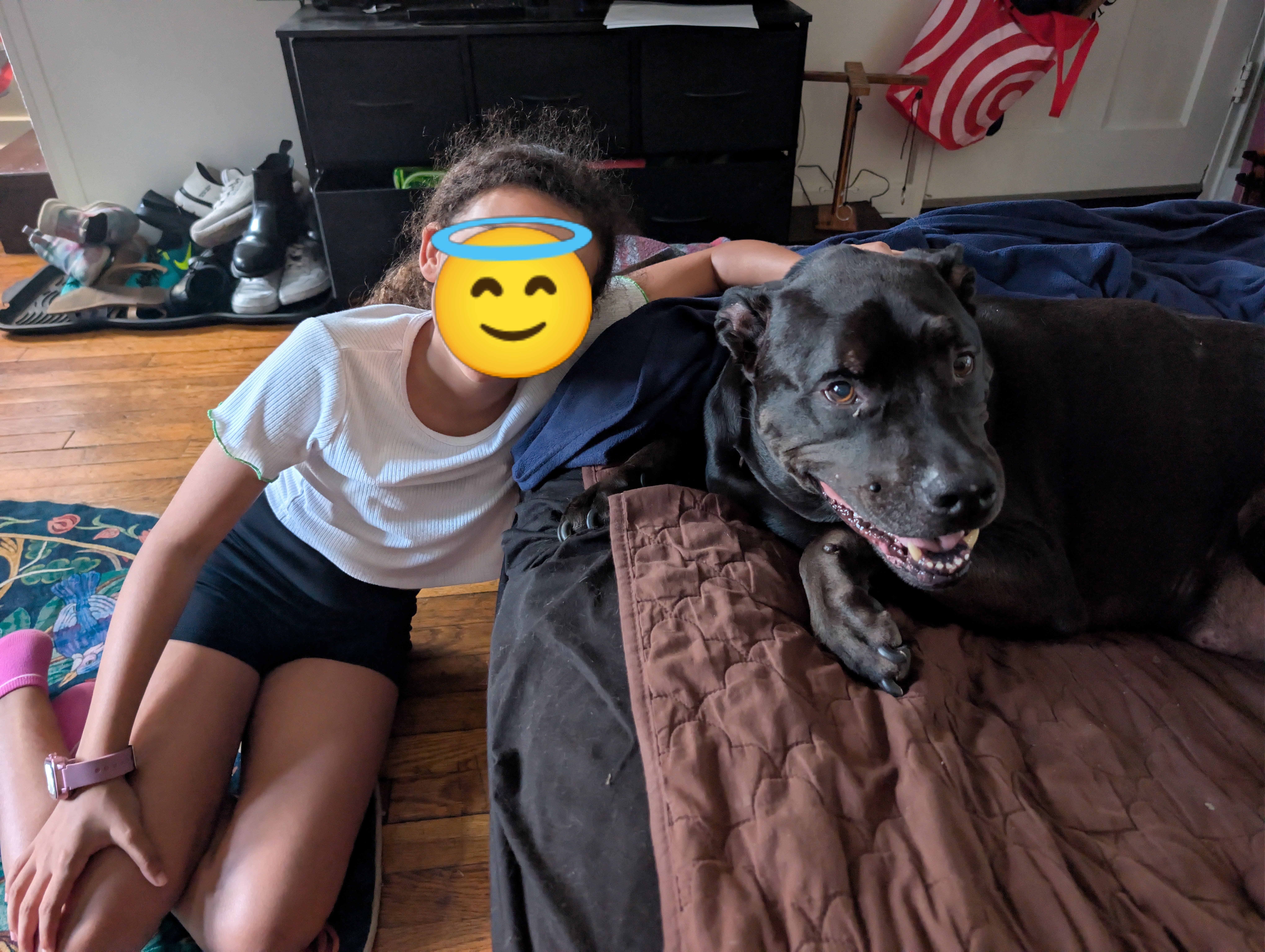 Help Xander Get X-rays and Testing for His Sudden Illness campaign photo, 2 of 5