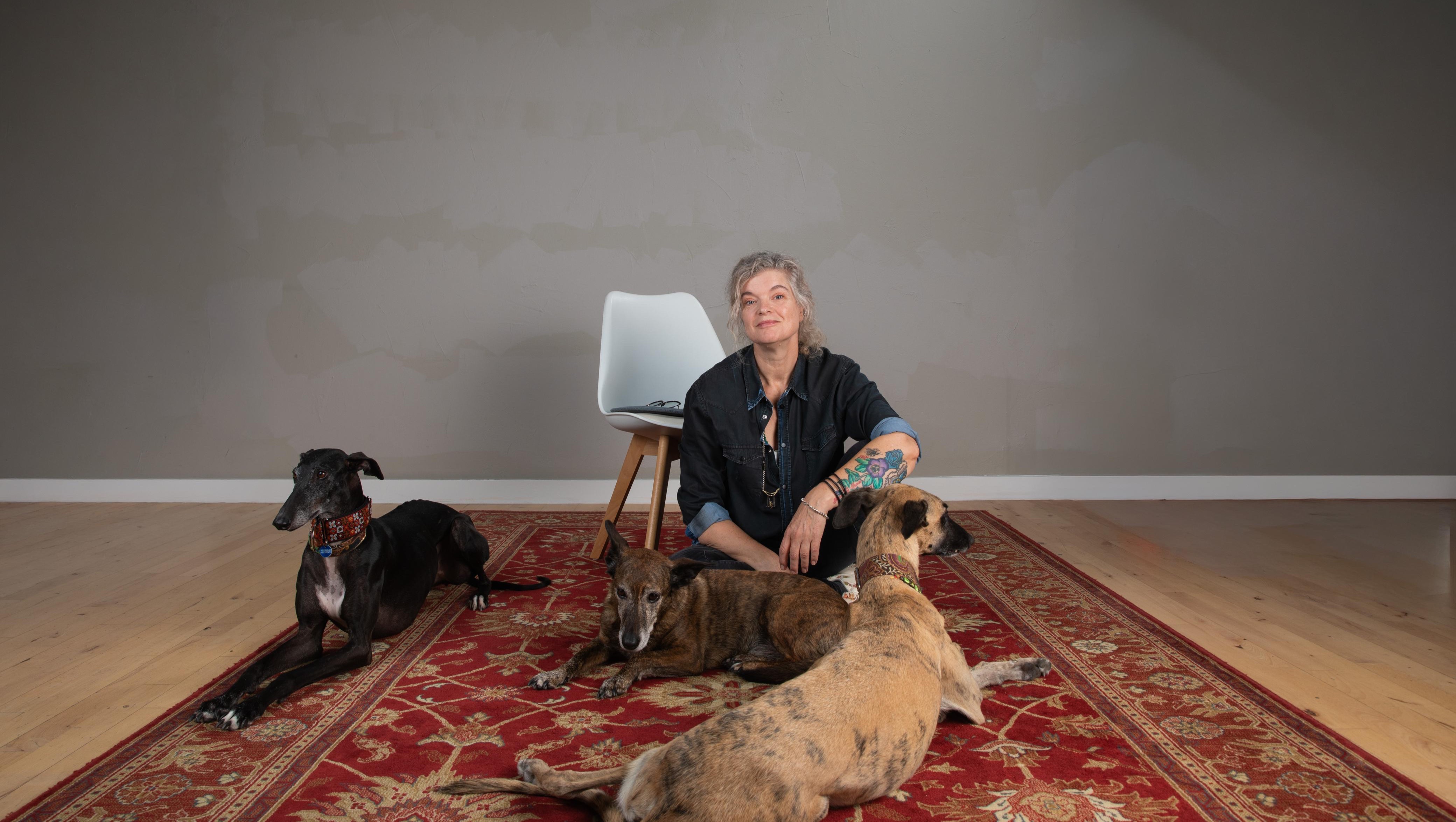 Faq Ideas Fundraiser by Els Harzing-Dam : Help de Spaanse hondenshelter Amores ...