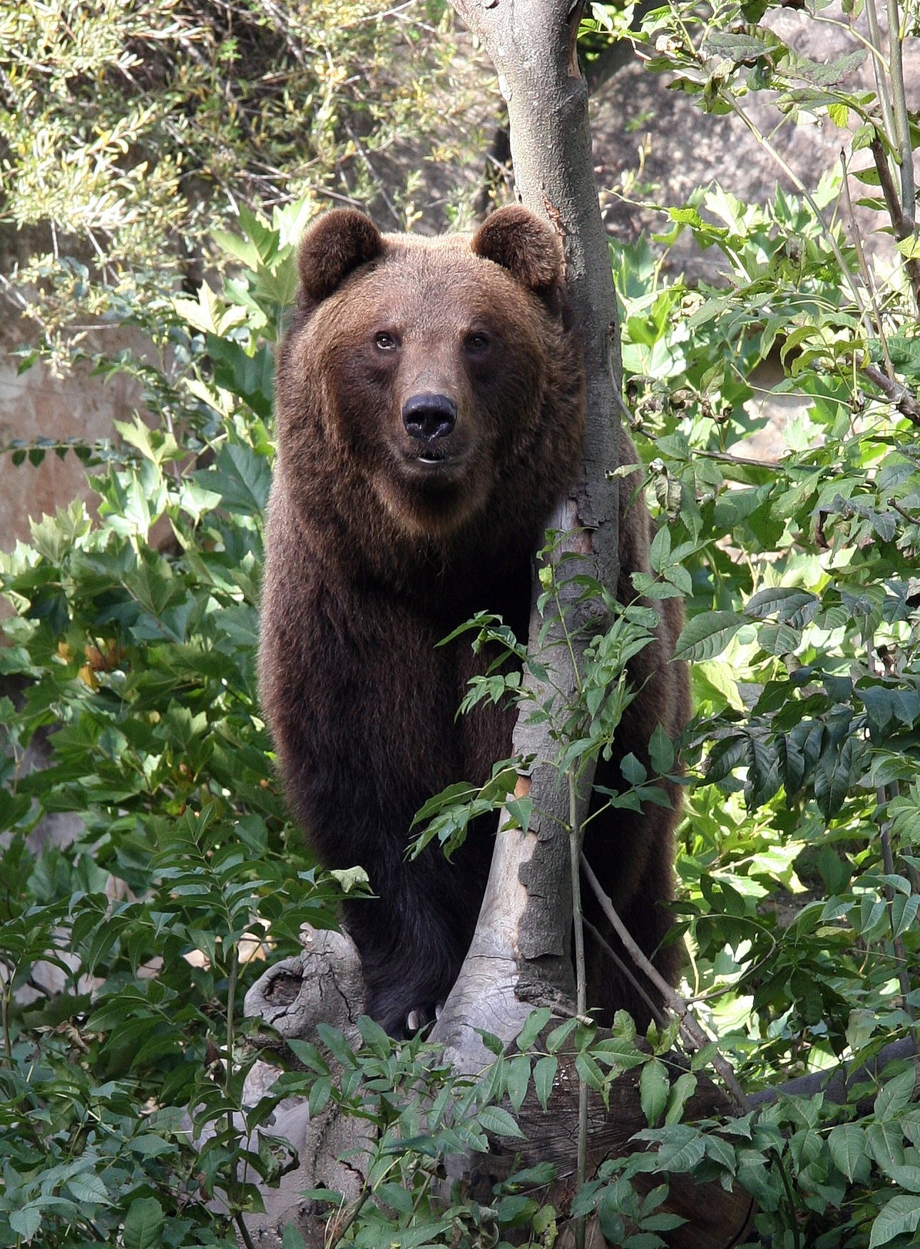 Gemeinsam Arten schützen, für unsere heimische Tierwelt campaign photo, 6 of 7