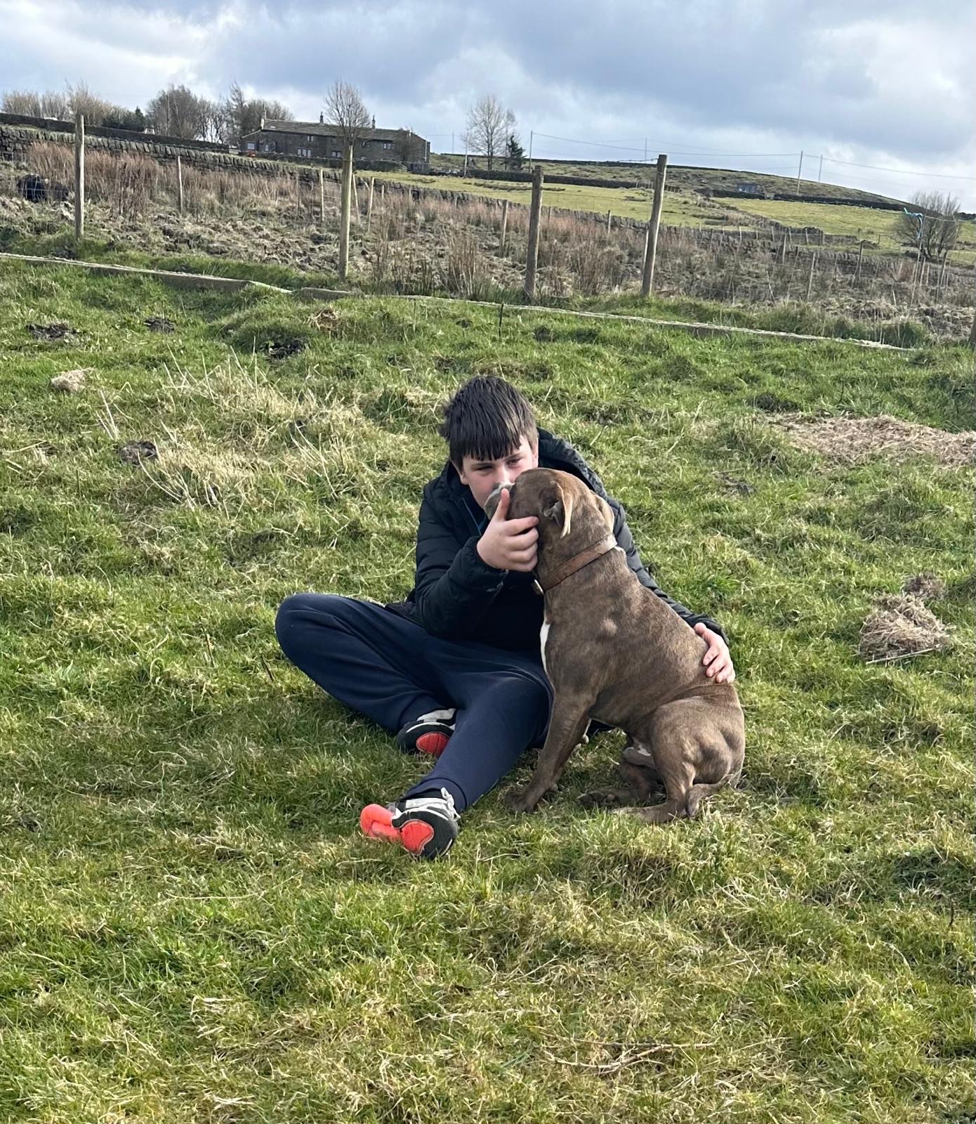 Please help Tony macaroni back onto his paws and giving hugs campaign photo, 4 of 7