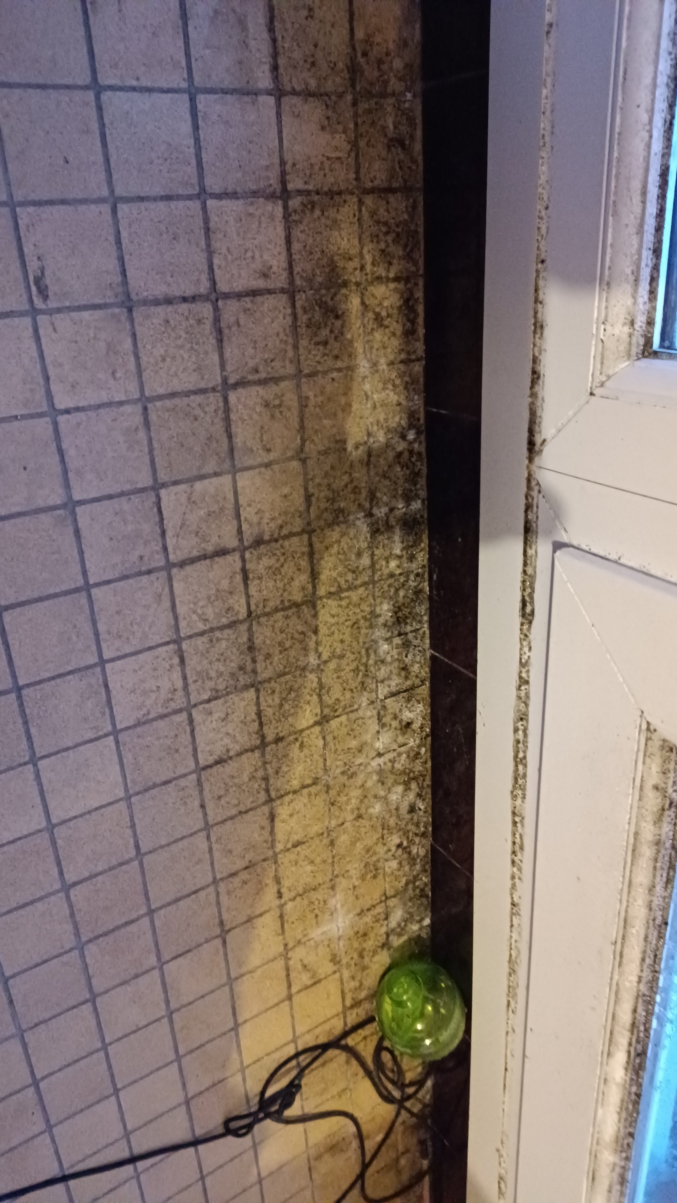 Urgence : logement insalubre, dettes et difficultés à vivre campaign photo, 2 of 8