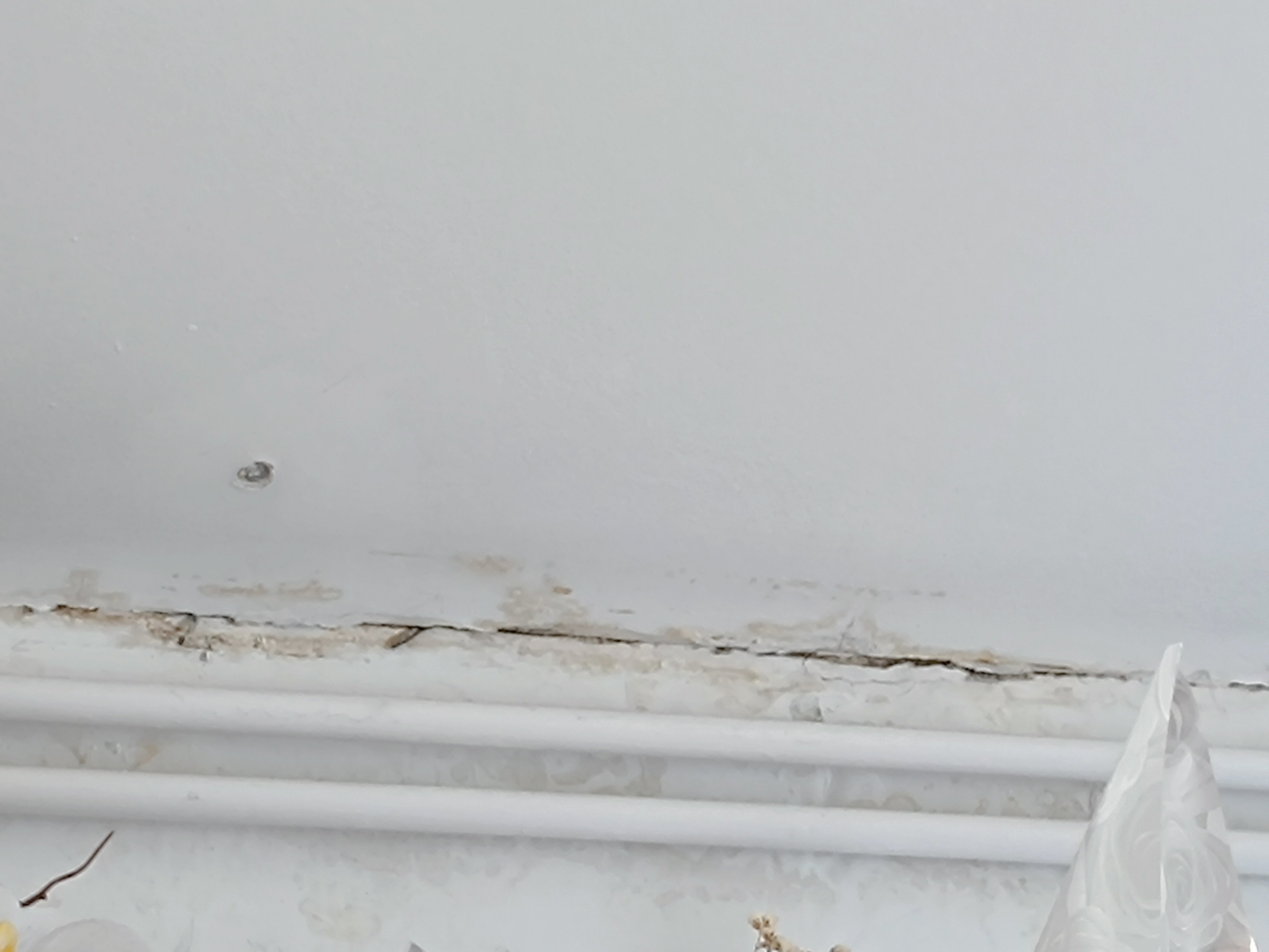 Urgence : logement insalubre, dettes et difficultés à vivre campaign photo, 4 of 8