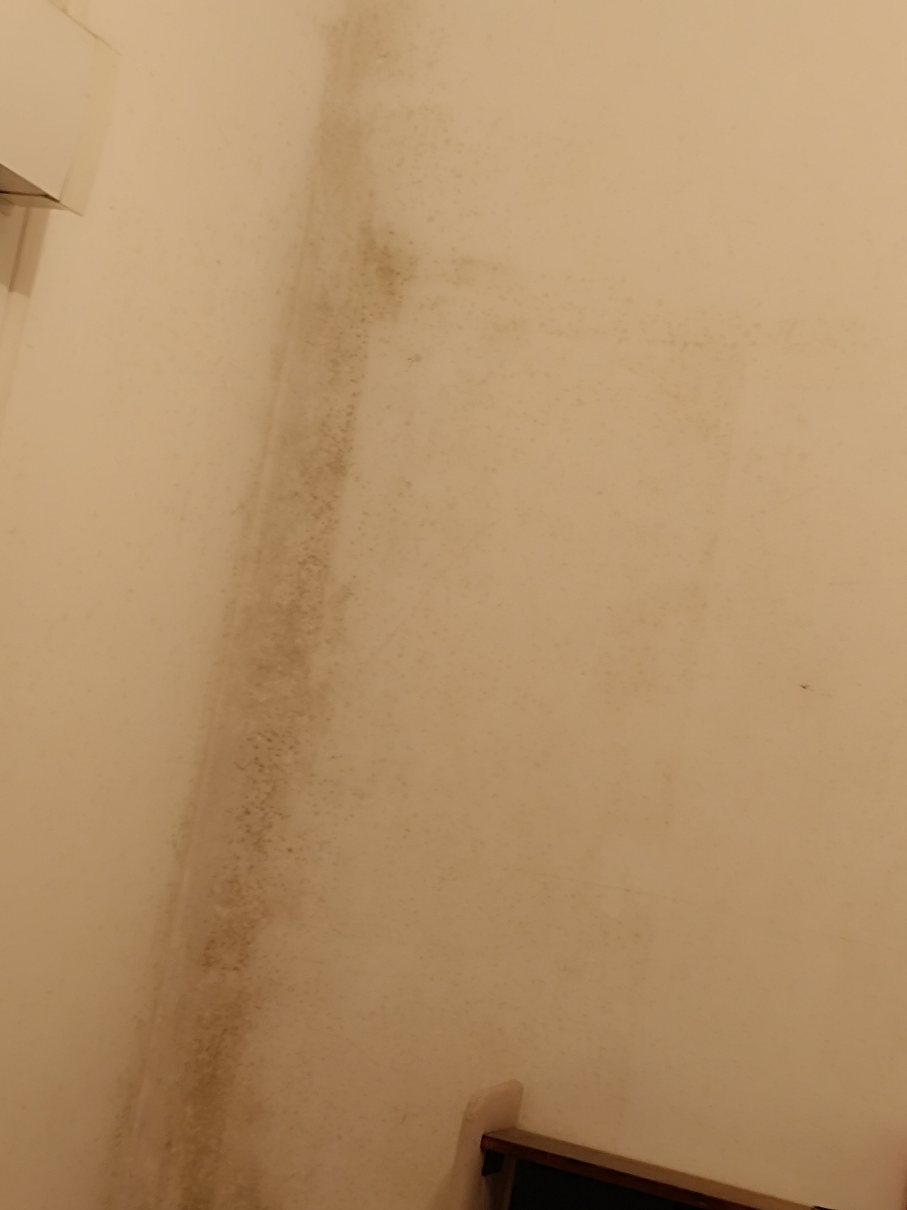 Urgence : logement insalubre, dettes et difficultés à vivre campaign photo, 6 of 8