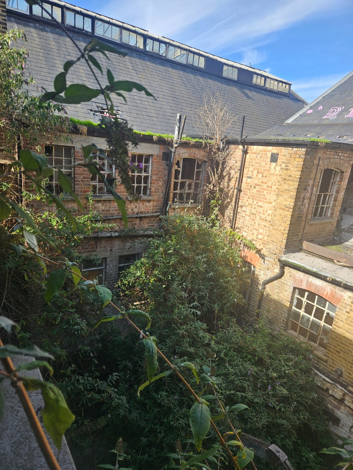 Help us save the Ladywell Playtower campaign photo, 4 of 7