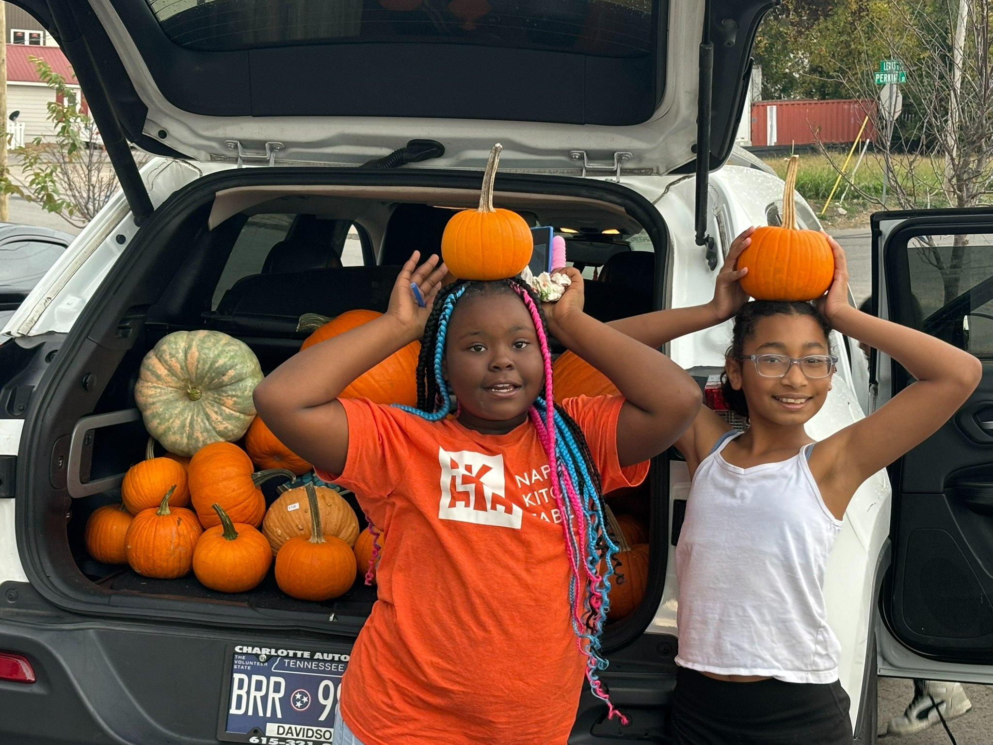 Support the 2026 Napier Community Fall Festival campaign photo, 2 of 8