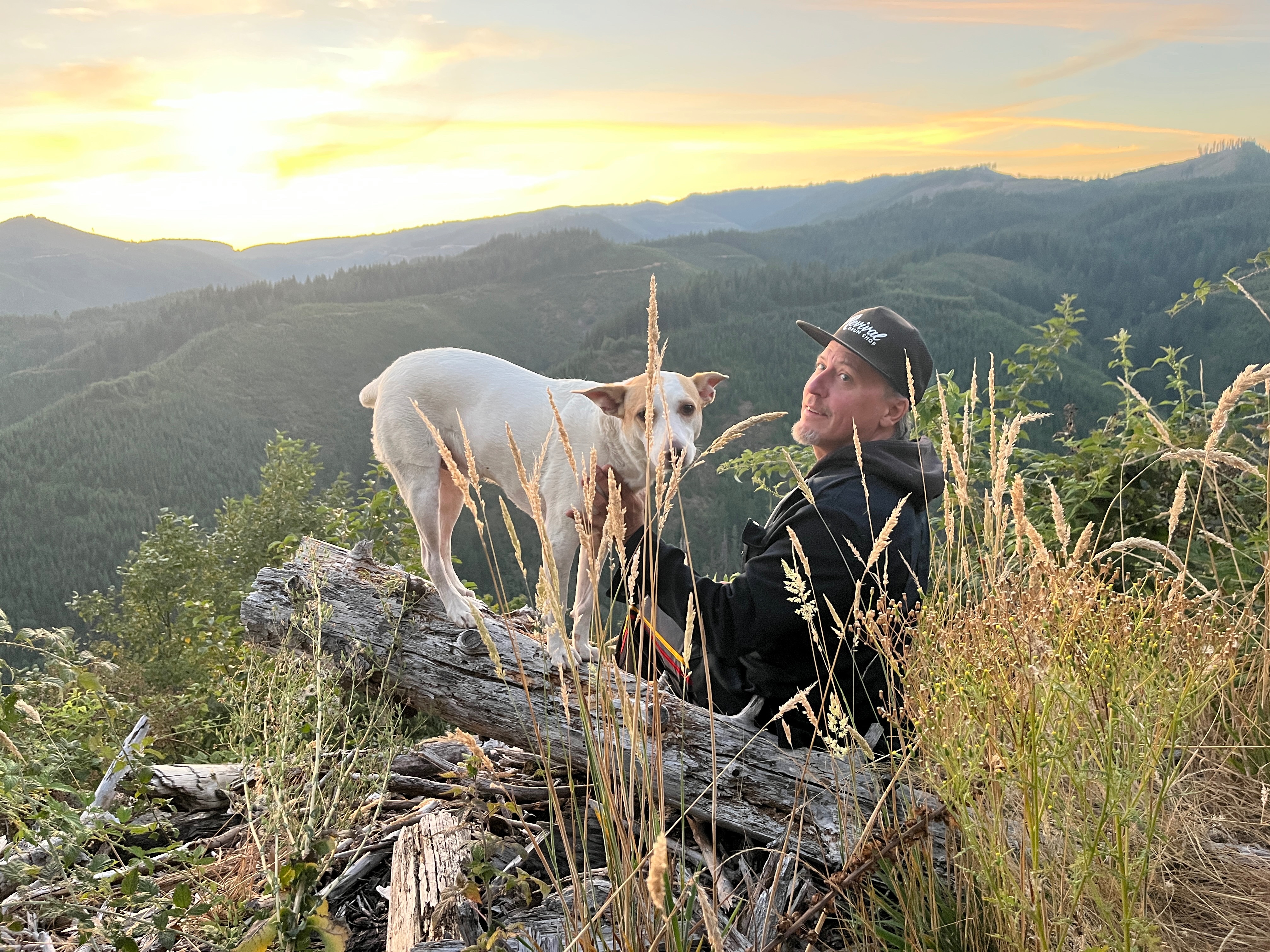 John Averill's Relief Fund for Pie's $13K Vet Bills campaign photo, 2 of 8