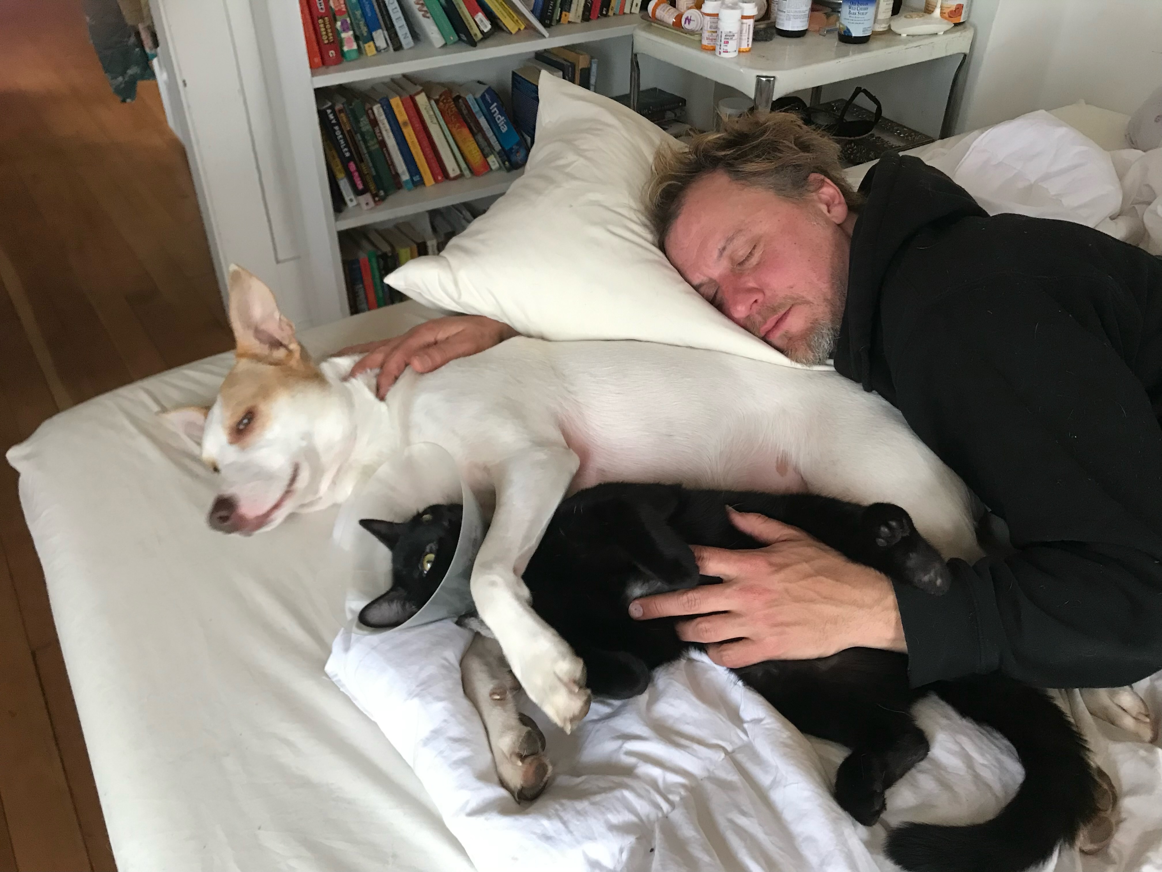 John Averill's Relief Fund for Pie's $13K Vet Bills campaign photo, 4 of 8