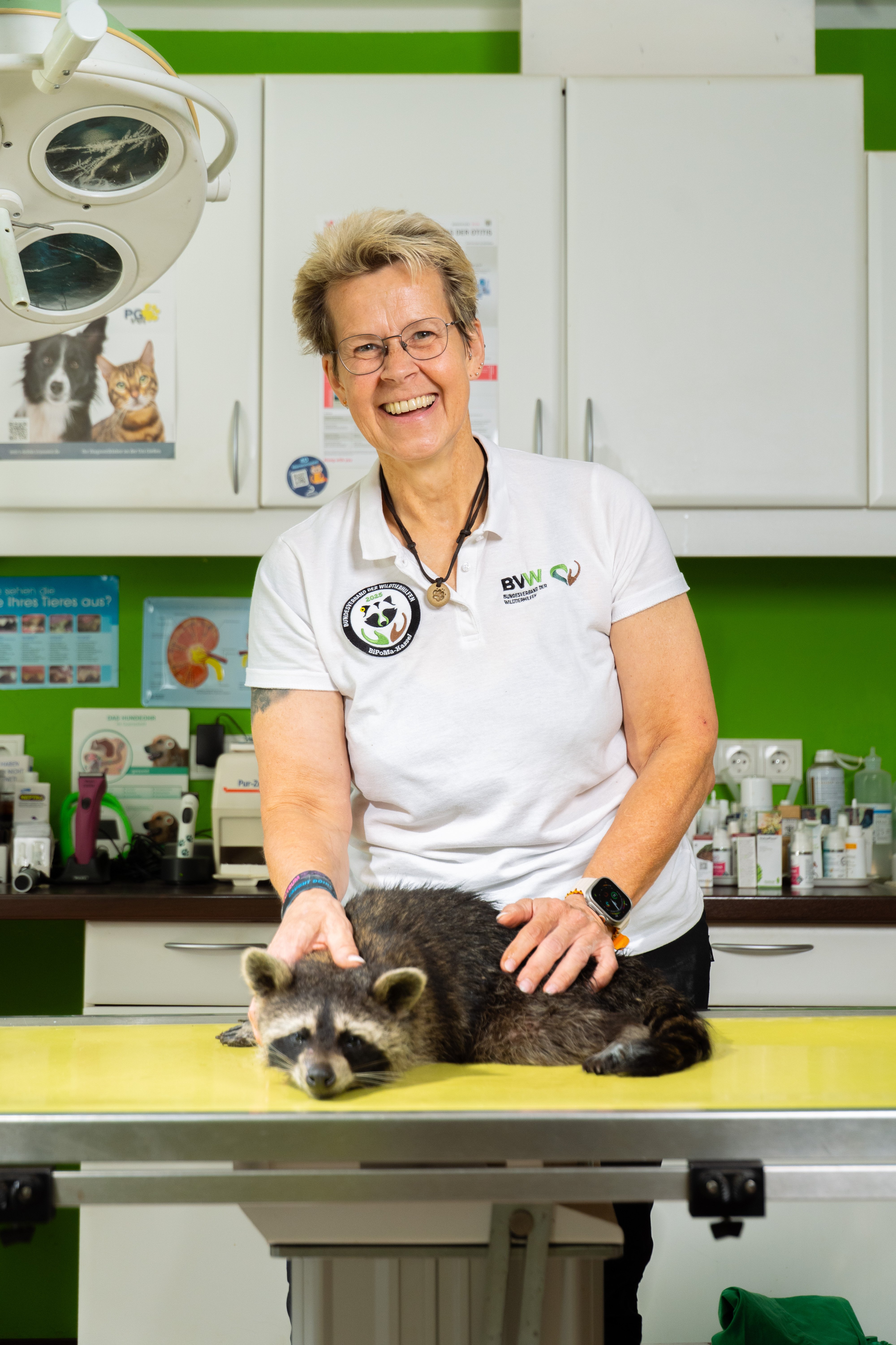 Hilfe auf vier Rädern – ein Rettungswagen für Wildtiere campaign photo, 4 of 7