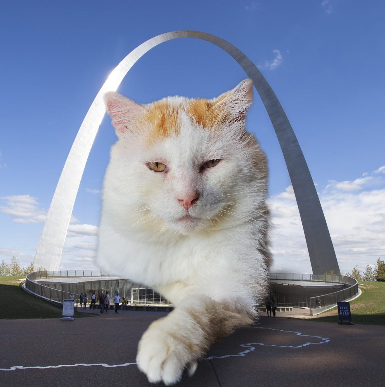 Donate to Gus's Veterinary Care Fund campaign photo, 4 of 7