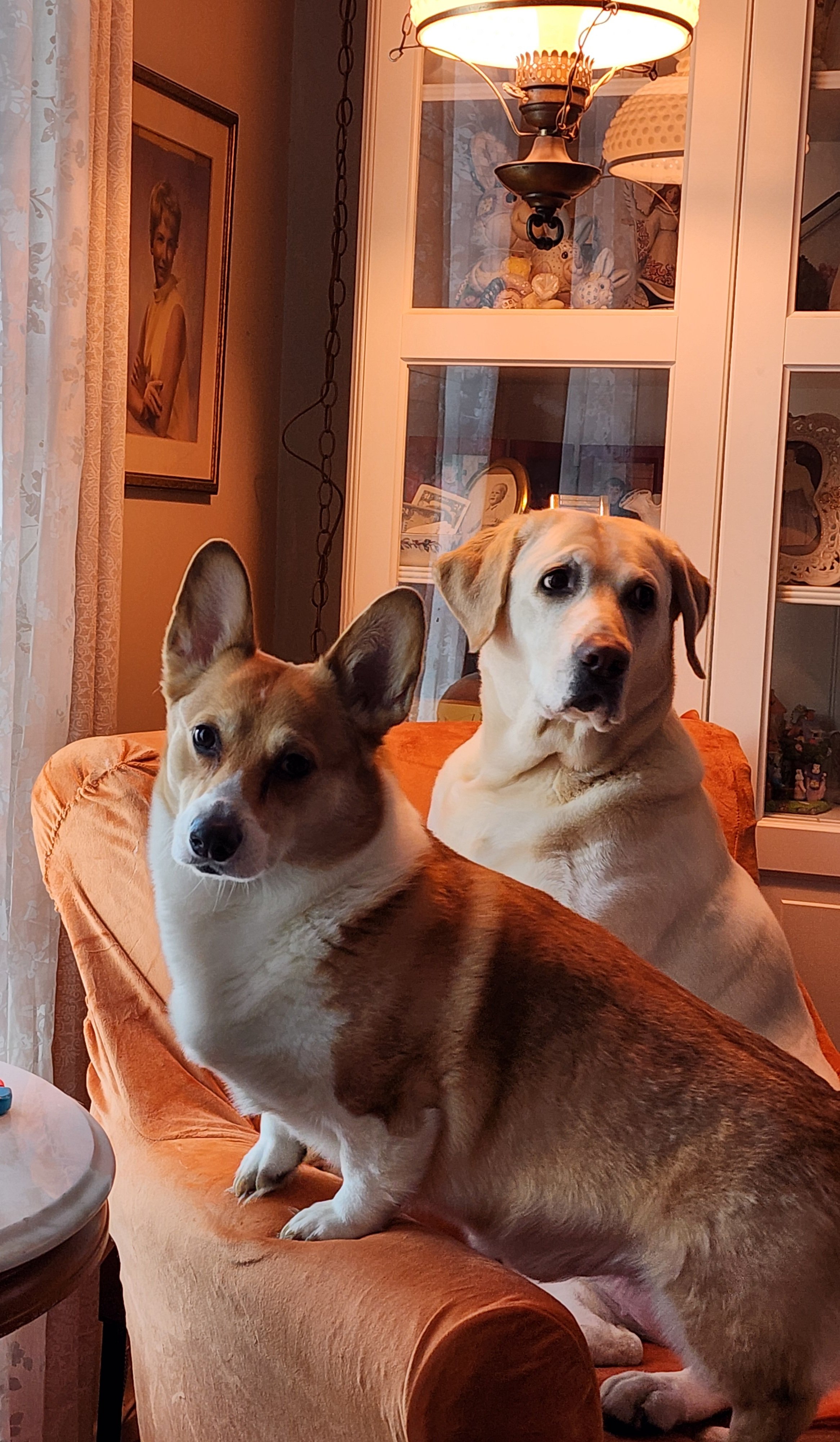 Help Appa Overcome His Health Battle campaign photo, 2 of 7