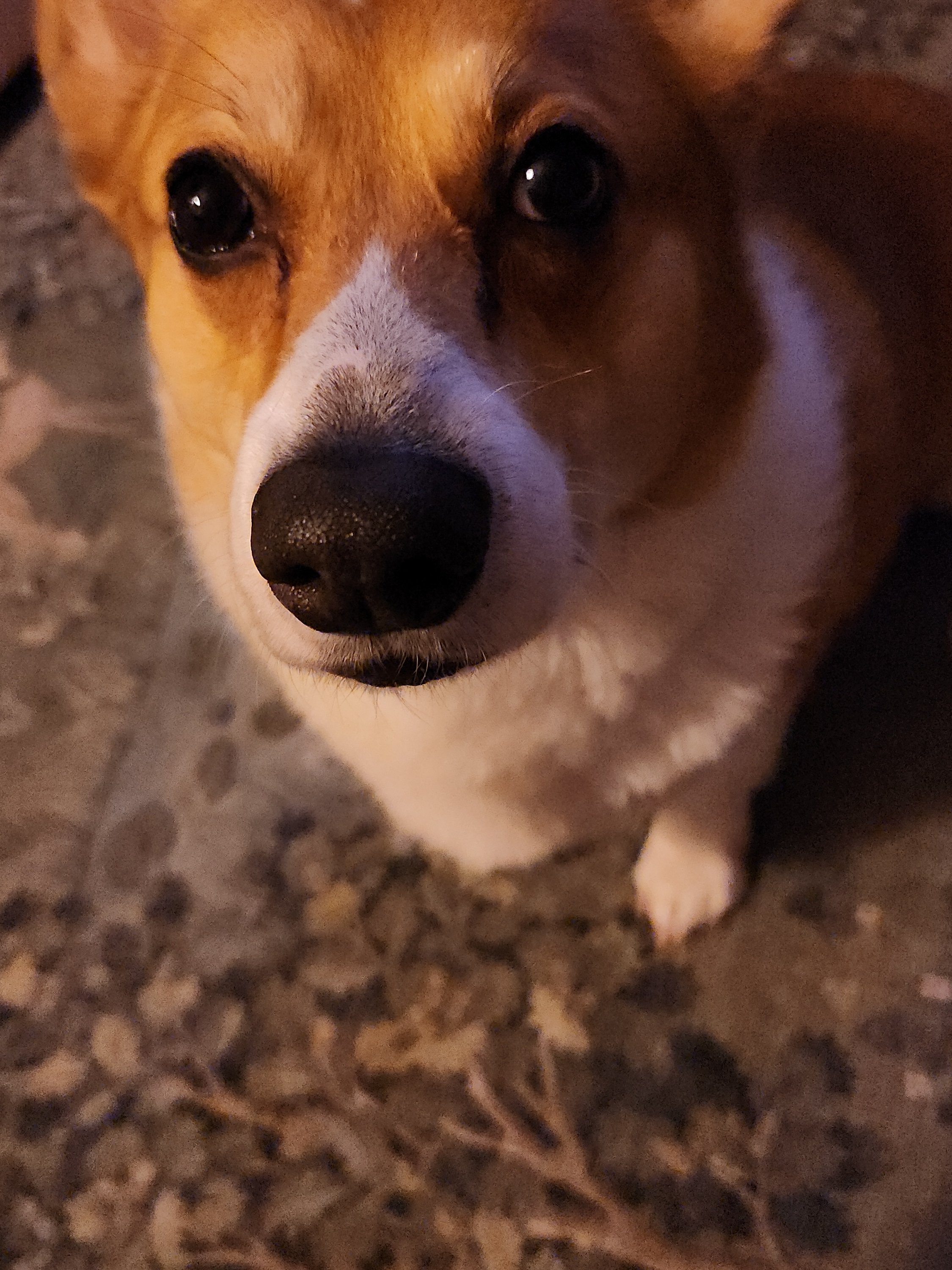 Help Appa Overcome His Health Battle campaign photo, 6 of 7