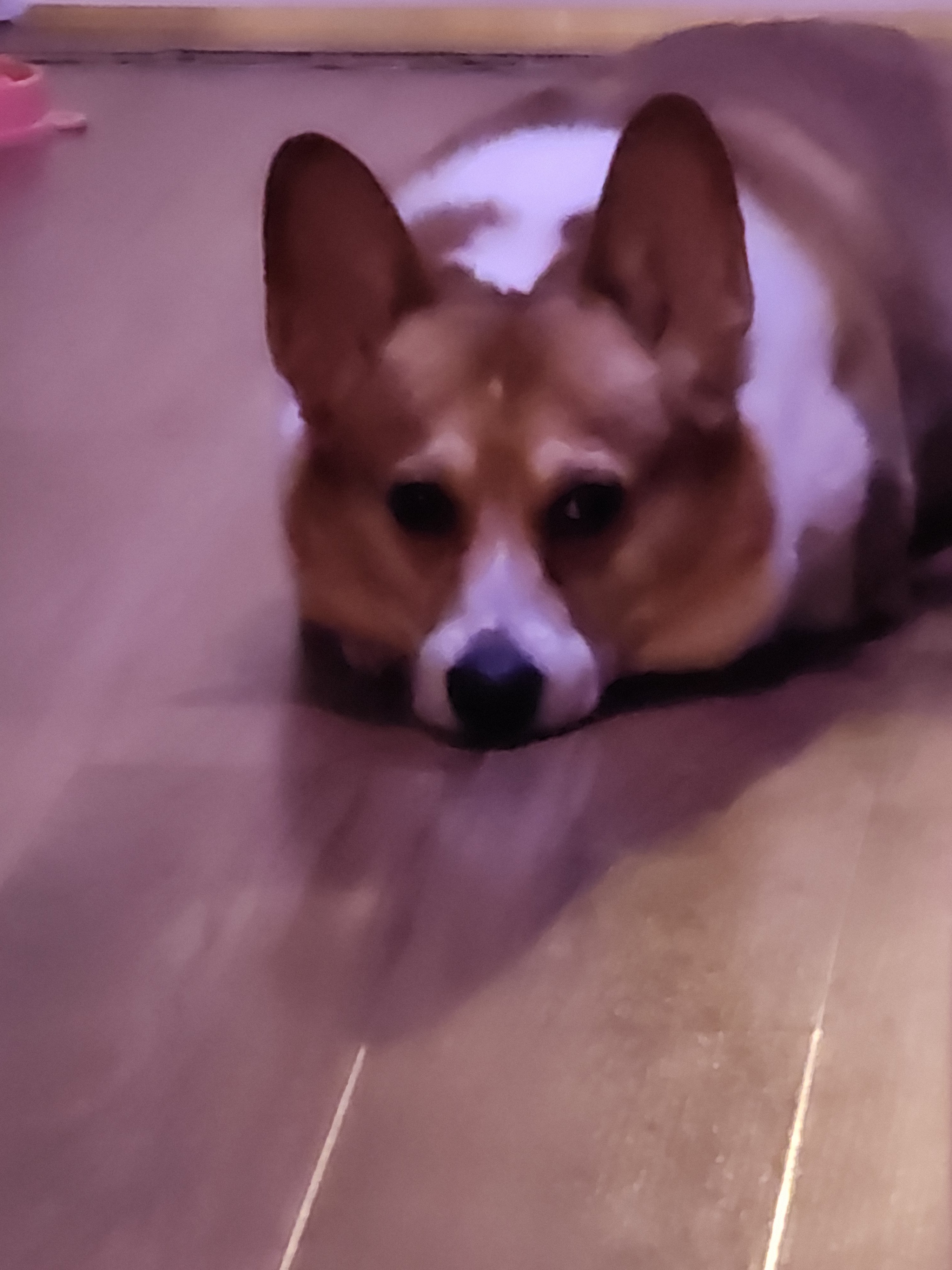 Help Appa Overcome His Health Battle campaign photo, 5 of 7