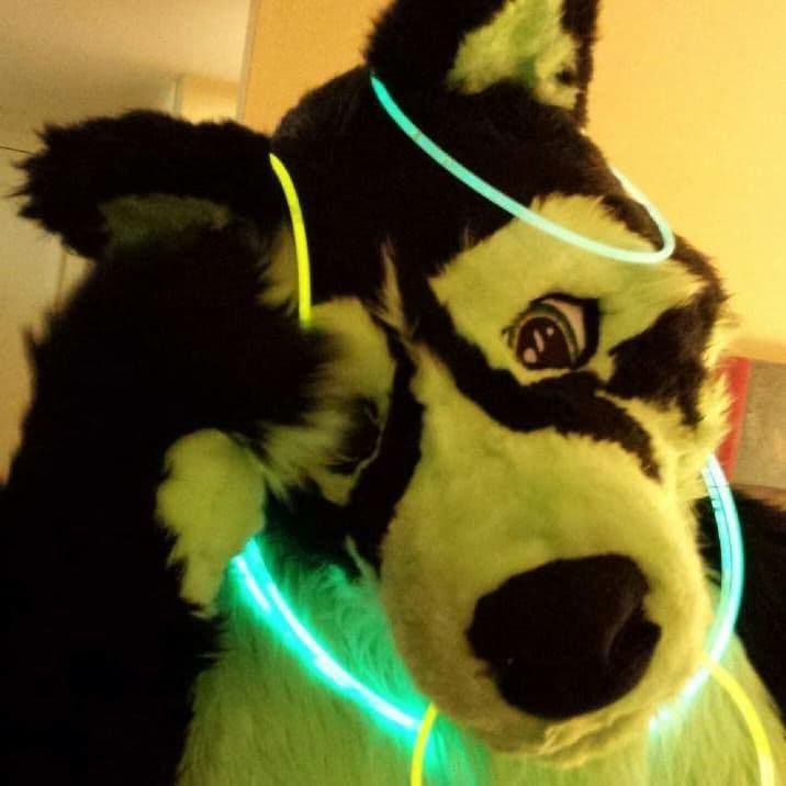 Bring Back Fenris the Wolf campaign photo, 5 of 8