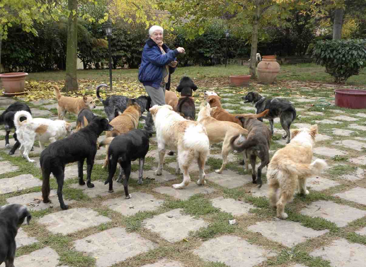 Aiutiamo il rifugio Agrilia: 120 cani hanno bisogno di noi campaign photo, 2 of 8