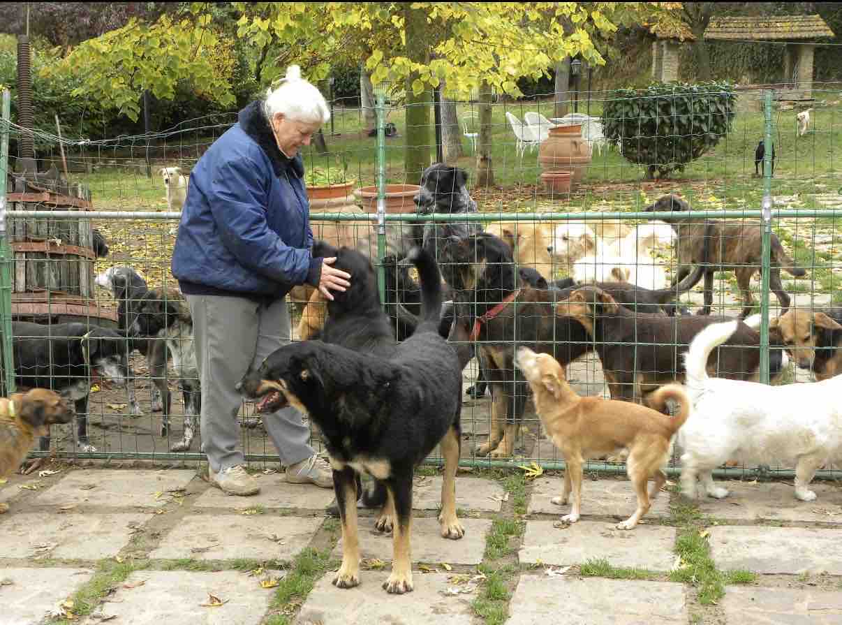 Aiutiamo il rifugio Agrilia: 120 cani hanno bisogno di noi campaign photo, 4 of 8