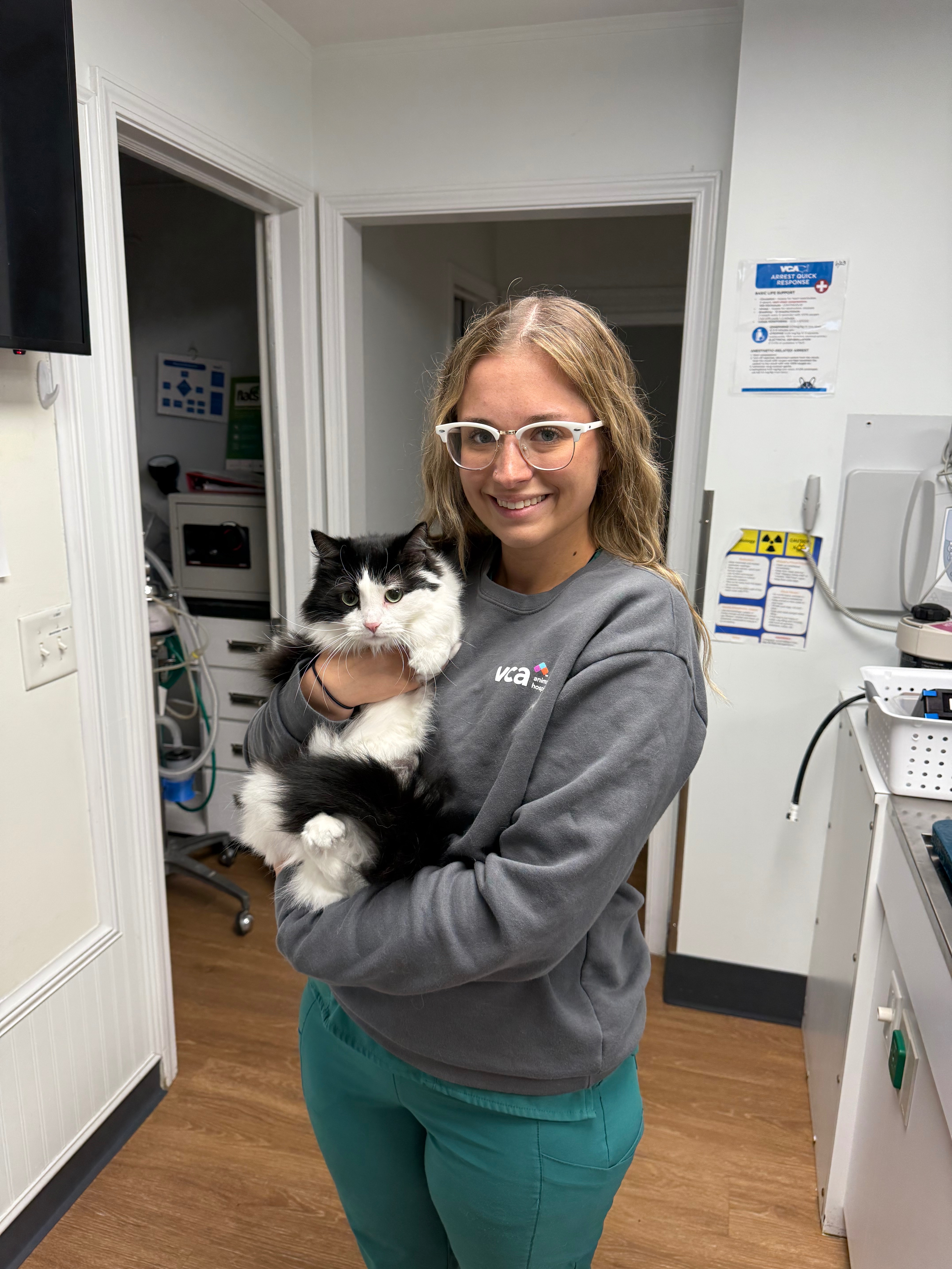 Kampagnen-Foto für Help Bridget Reach Vet Tech Graduation, 5 von 8