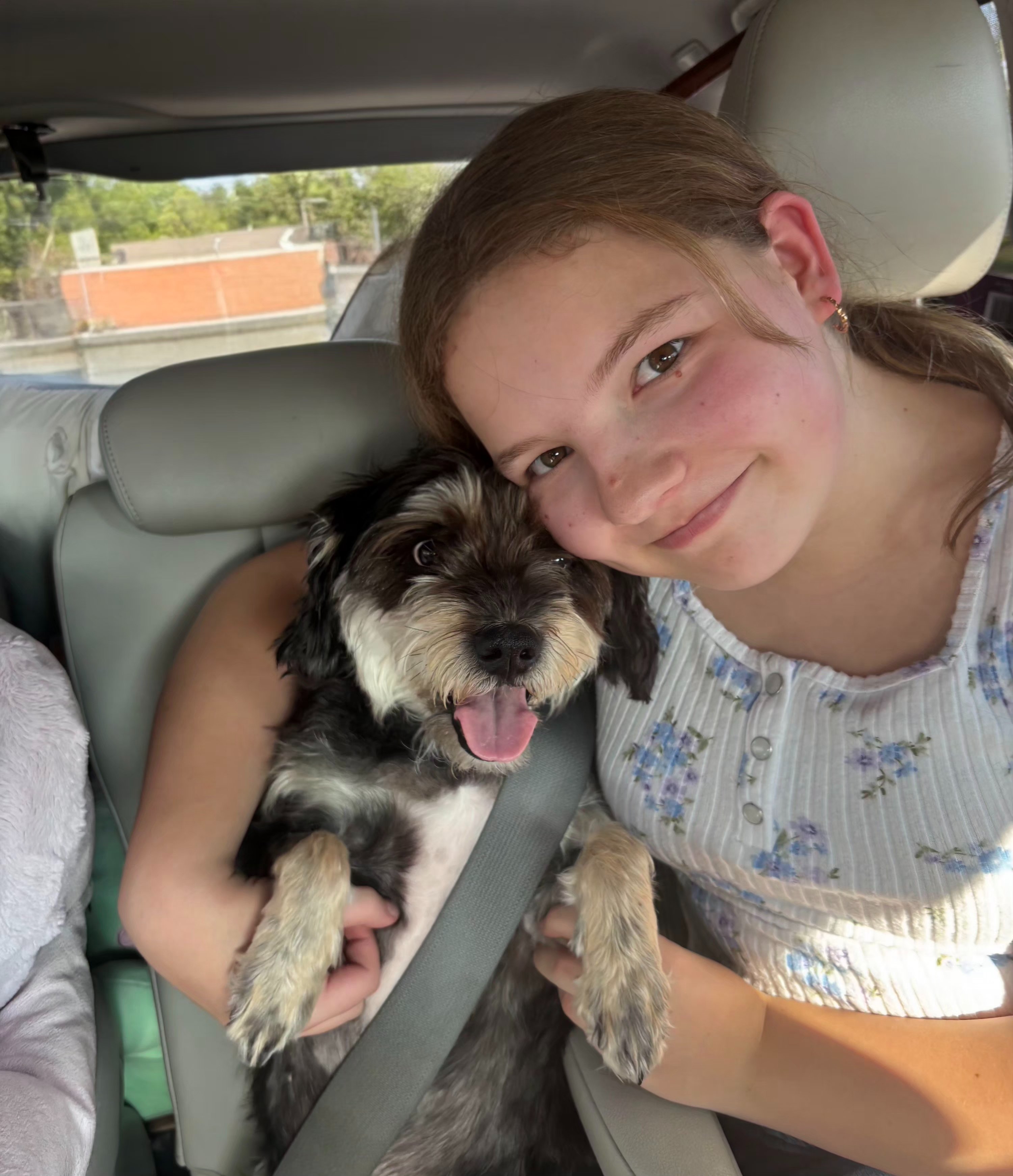 Abigail's Seizure Response Dog Training campaign photo, 4 of 13
