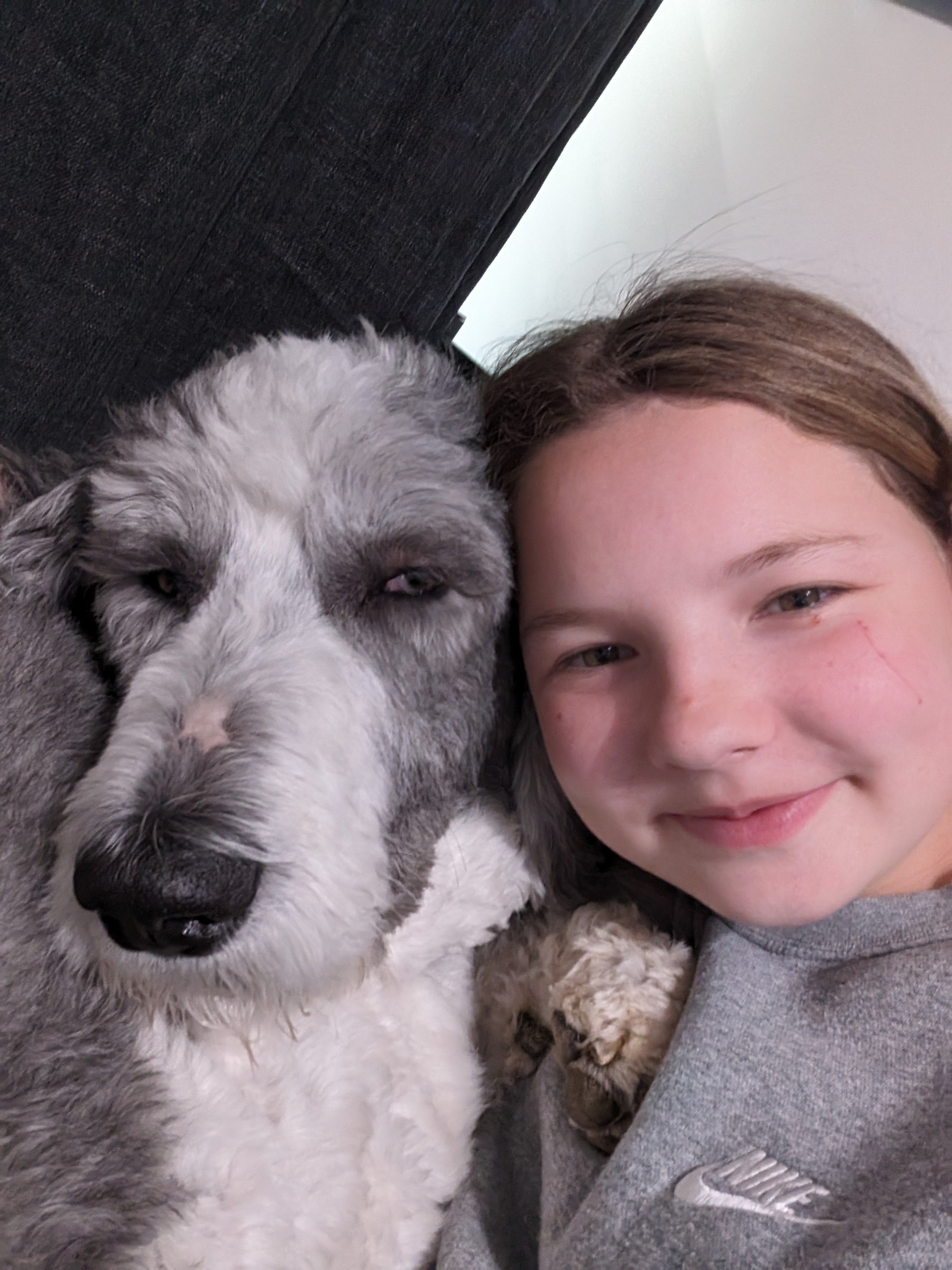 Abigail's Seizure Response Dog Training campaign photo, 5 of 13