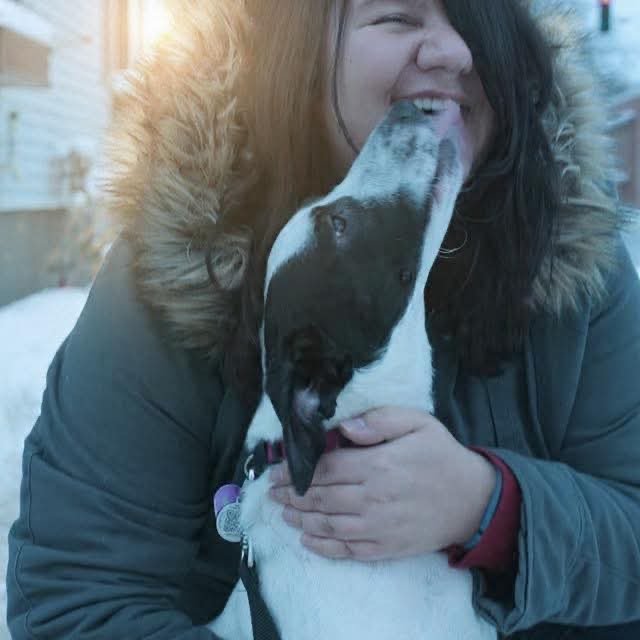 Help With QL's Emergency Vet Bills campaign photo, 8 of 12