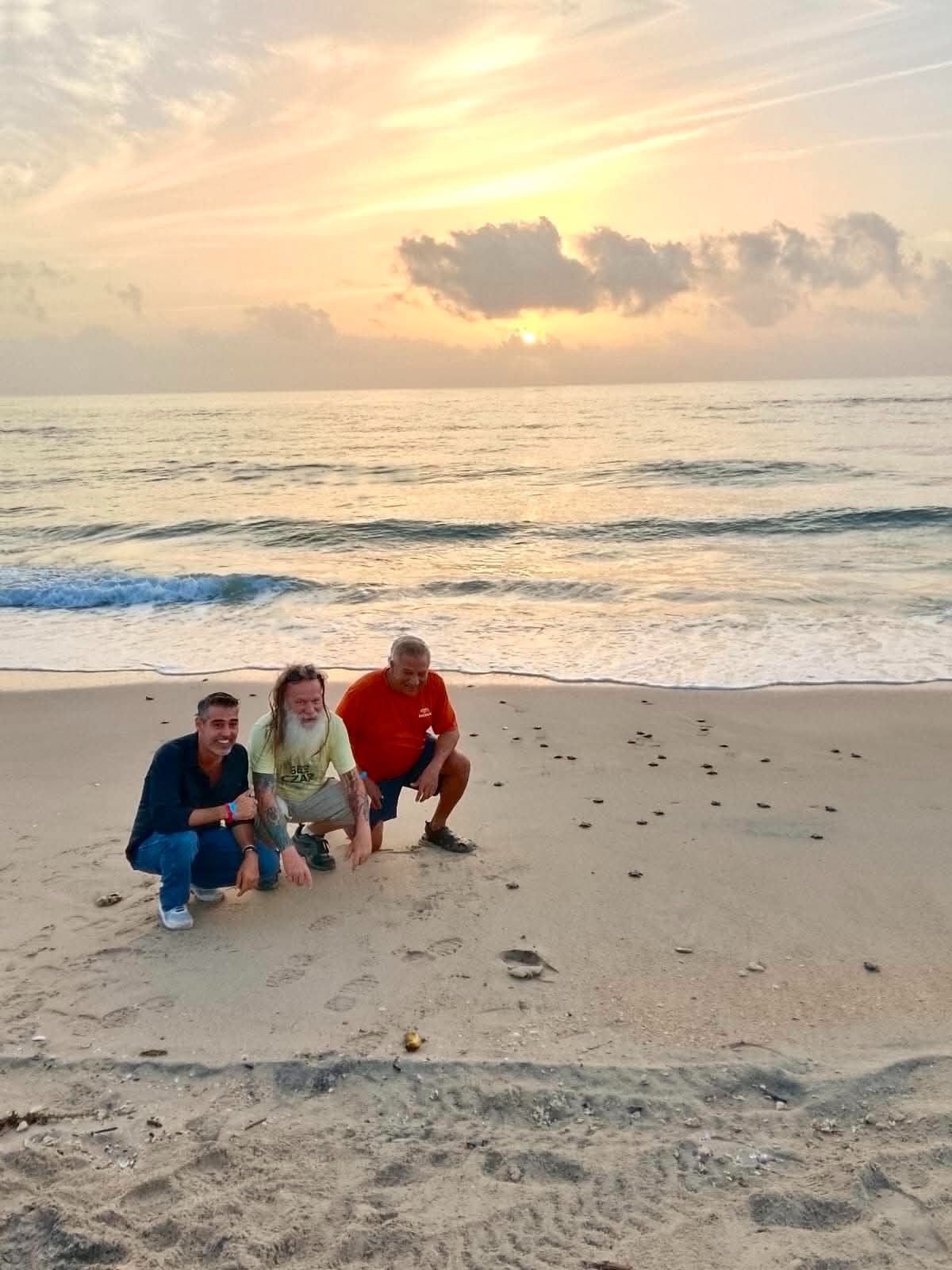 Sea-Bees Bees saving turtles campaign photo, 5 of 8