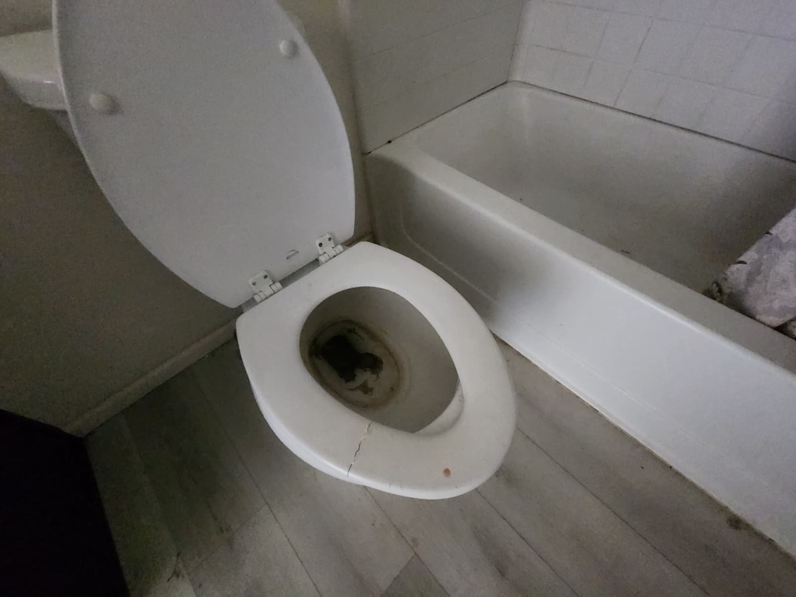 home restoration after horrible tenants campaign photo, 6 of 9