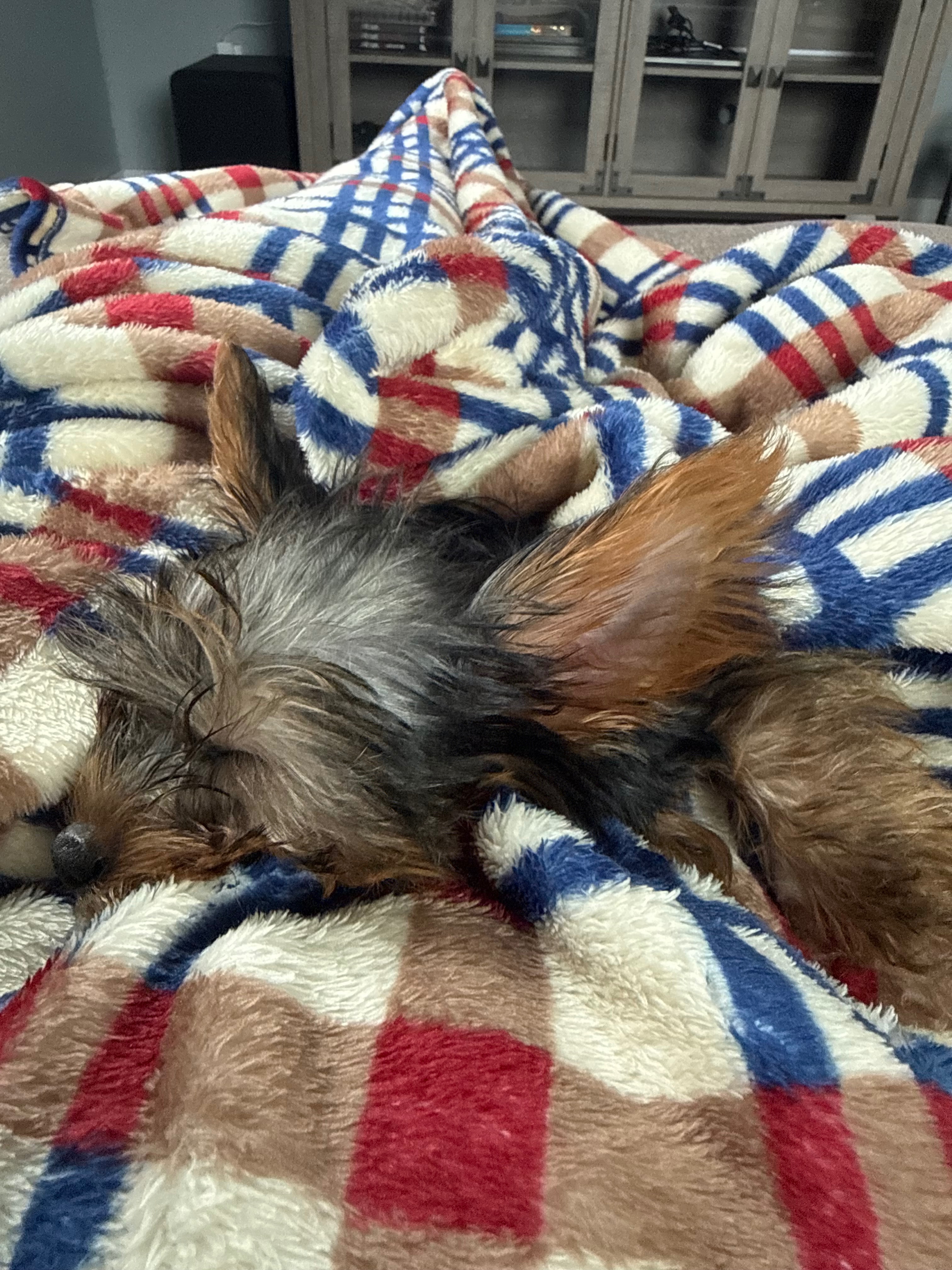 Support Mateo’s Urgent Cardiac Surgery campaign photo, 4 of 7