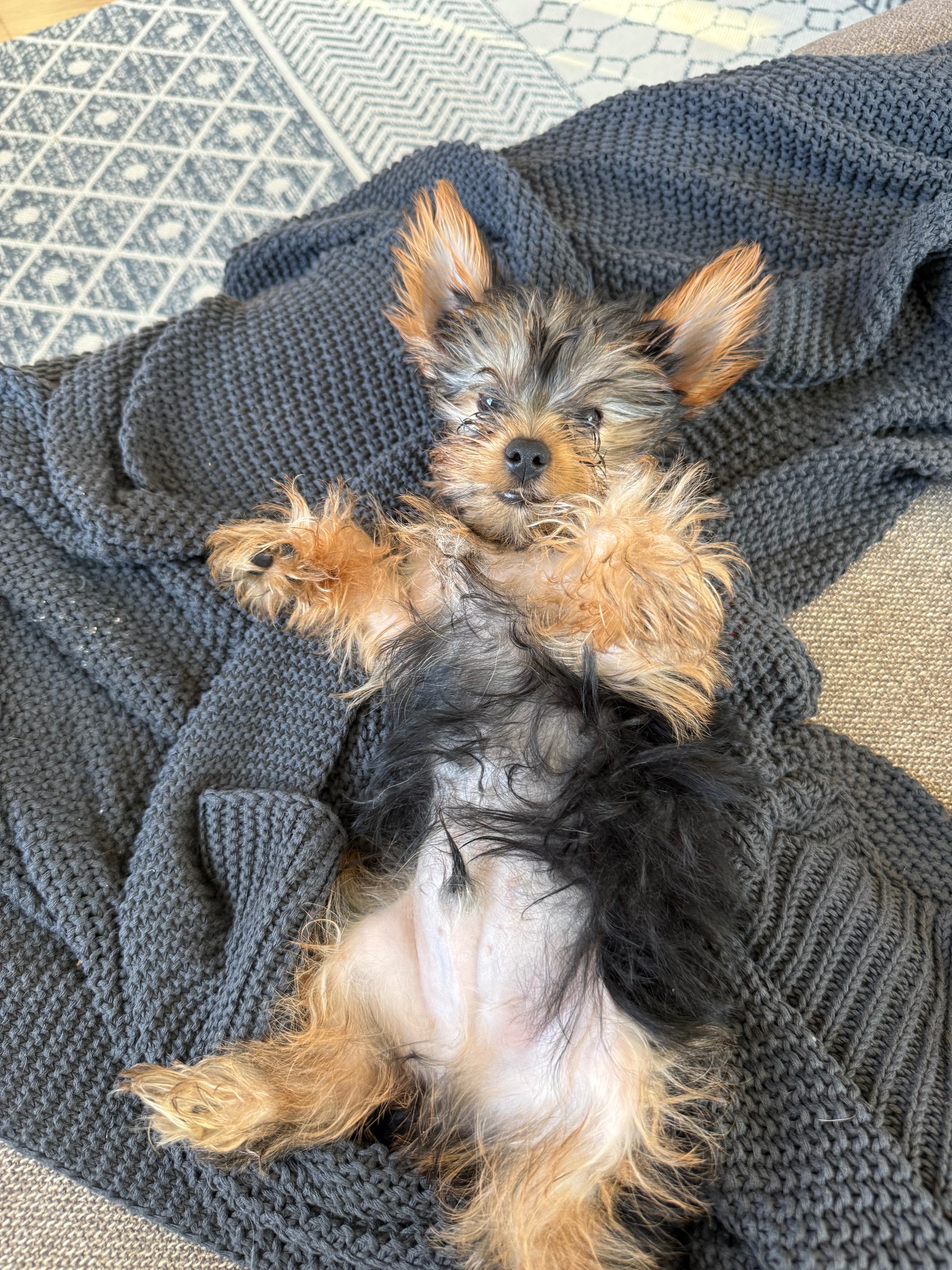 Support Mateo’s Urgent Cardiac Surgery campaign photo, 5 of 7