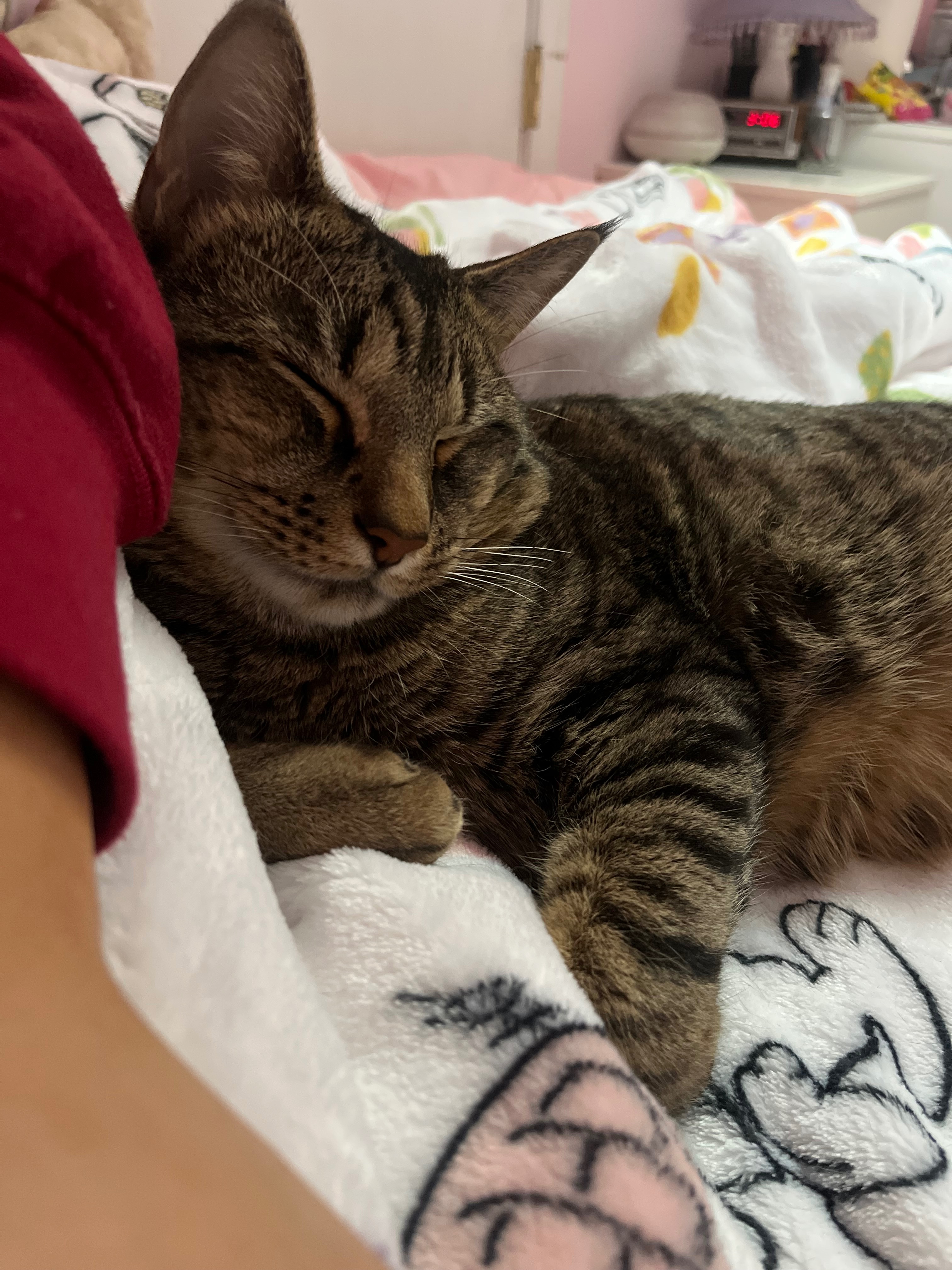Help me save my best friend campaign photo, 2 of 6