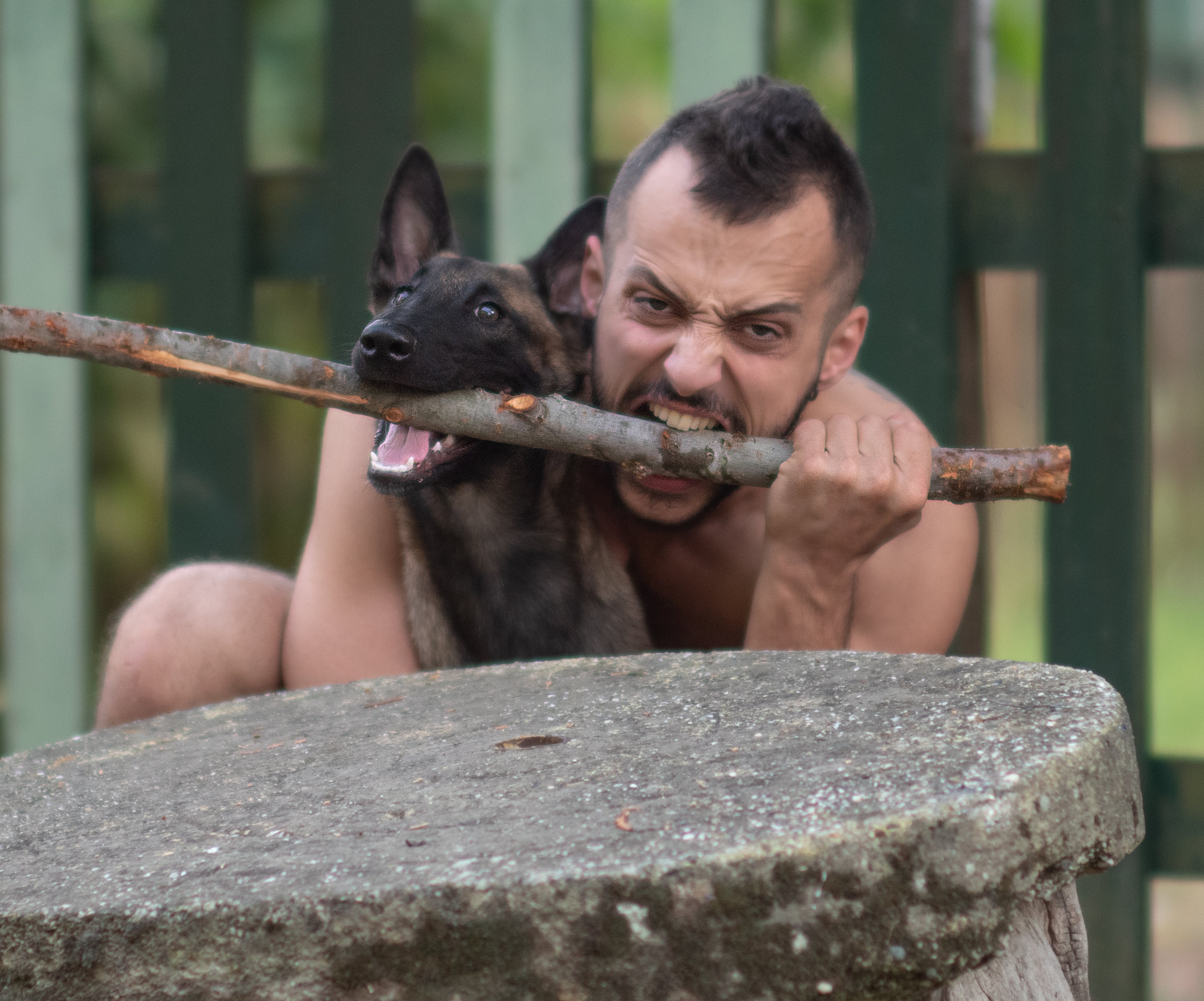 Aiutami a Guarire per tornare dalla mia cagnolina Ellie campaign photo, 7 of 8