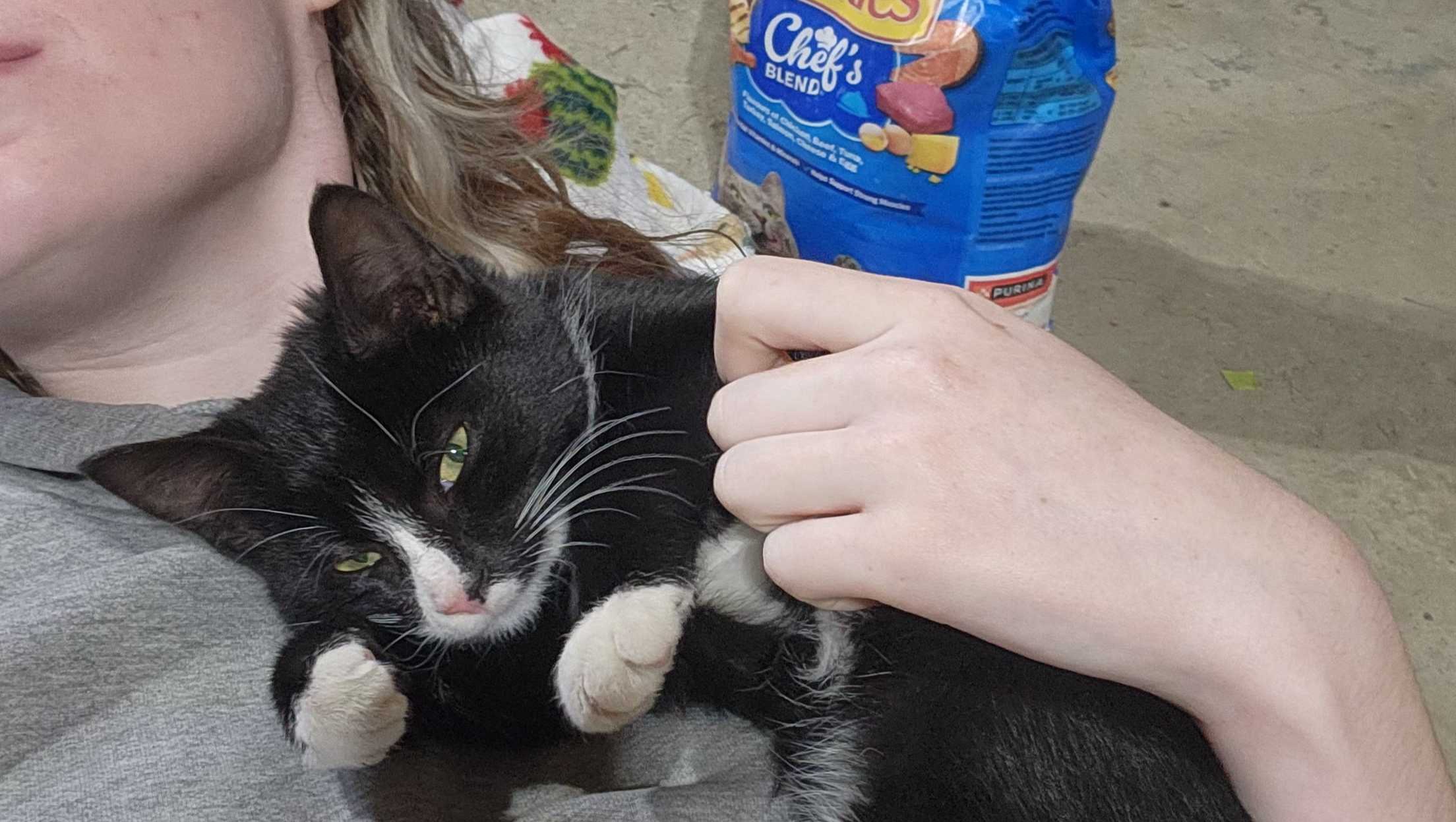 Fundraiser by Sophie Ashton : Magpie's Teeth Treatment and Removal