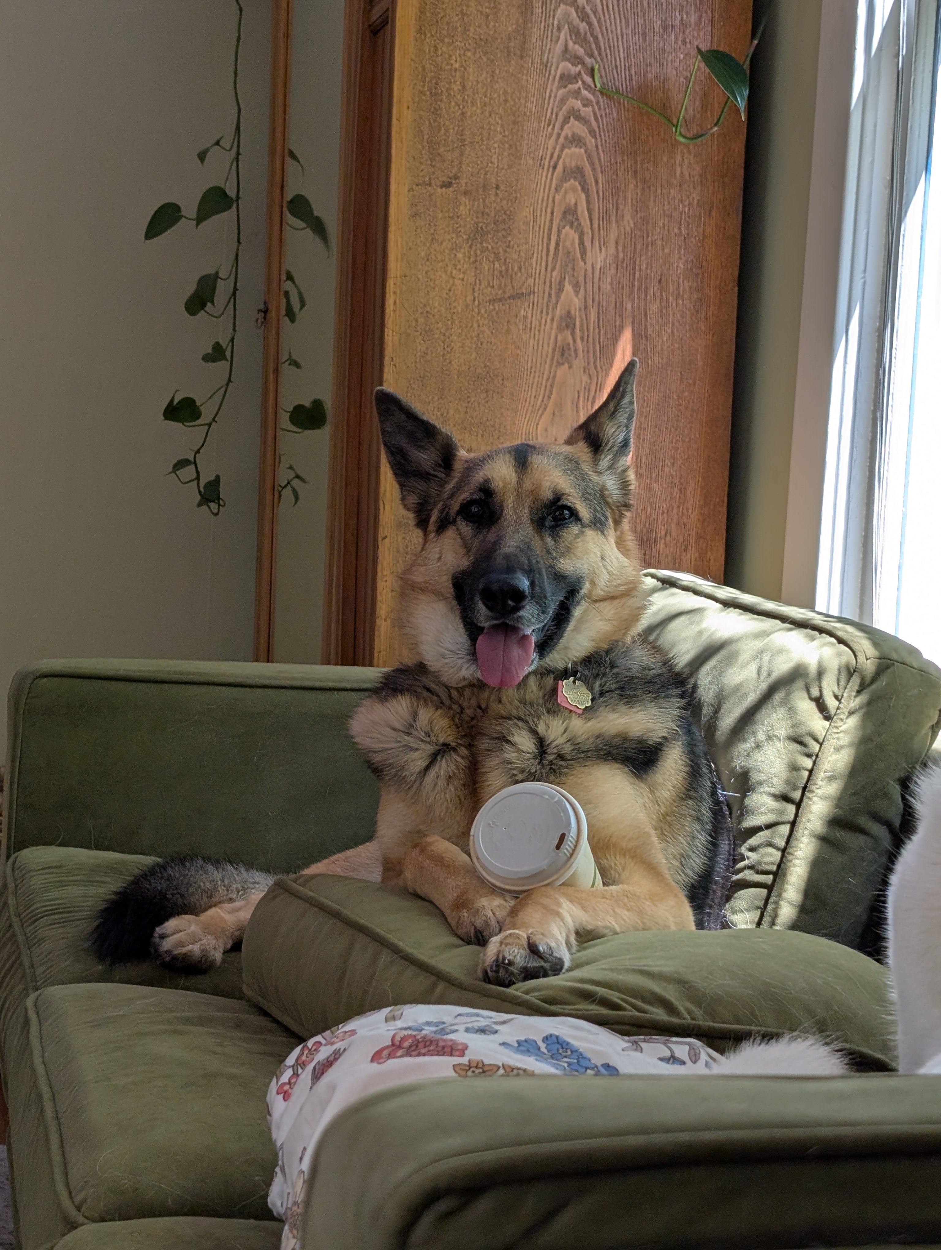 Help Save Hazel: Support Her Battle to Beat Cancer campaign photo, 2 of 8