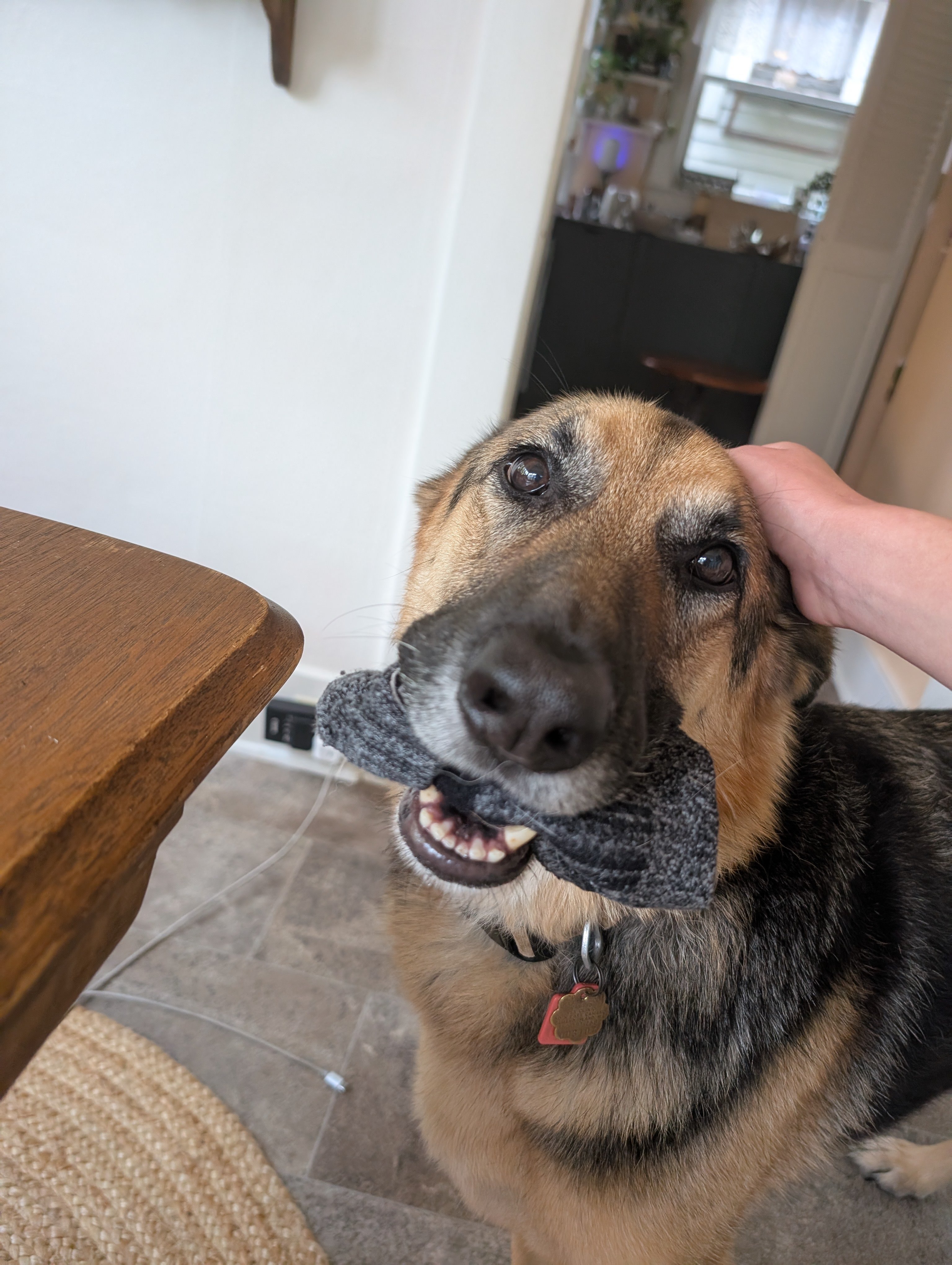 Help Save Hazel: Support Her Battle to Beat Cancer campaign photo, 5 of 8
