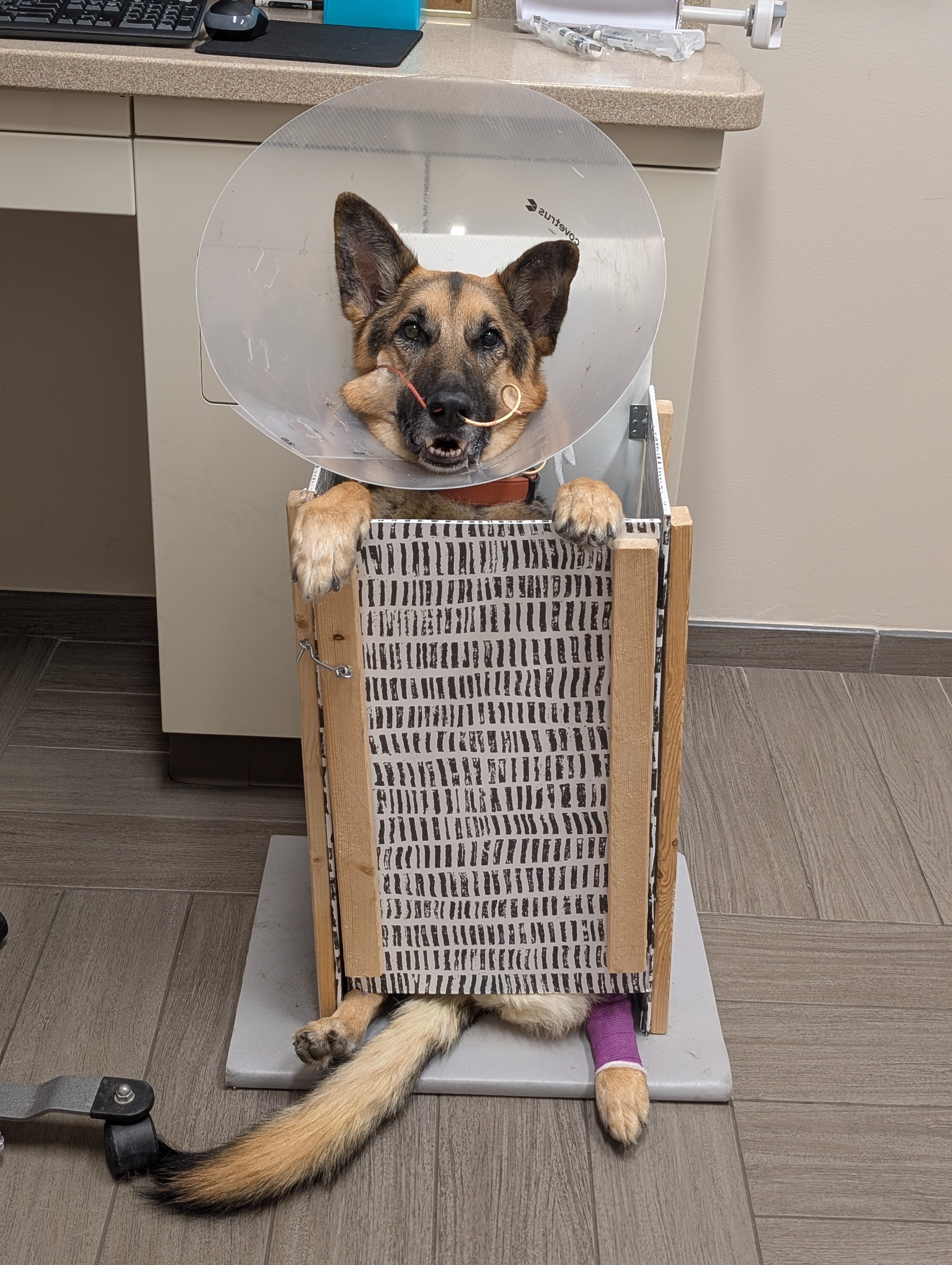 Help Save Hazel: Support Her Battle to Beat Cancer campaign photo, 6 of 8