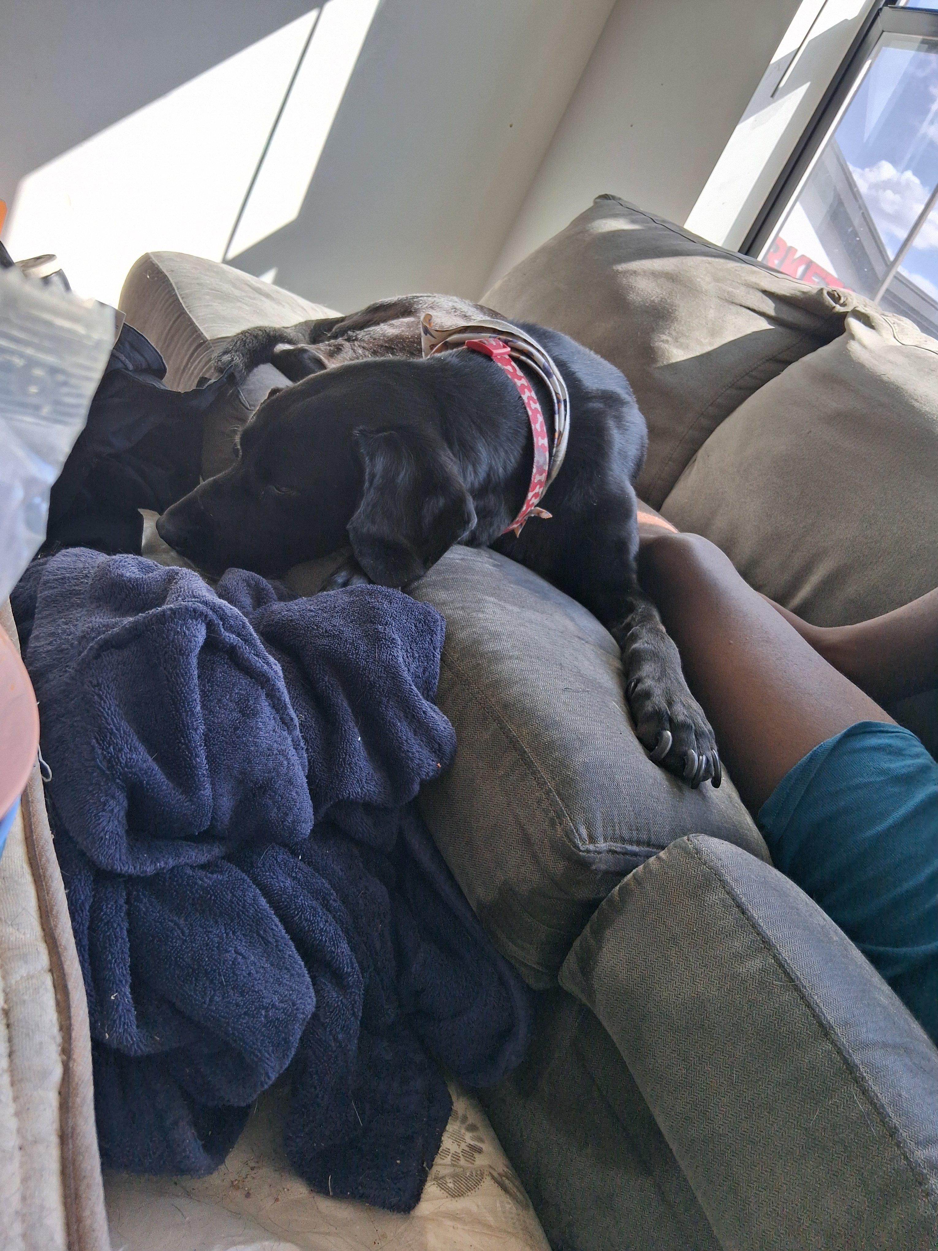 Help a Disabled Streamer Mum Keep Her Home campaign photo, 4 of 5