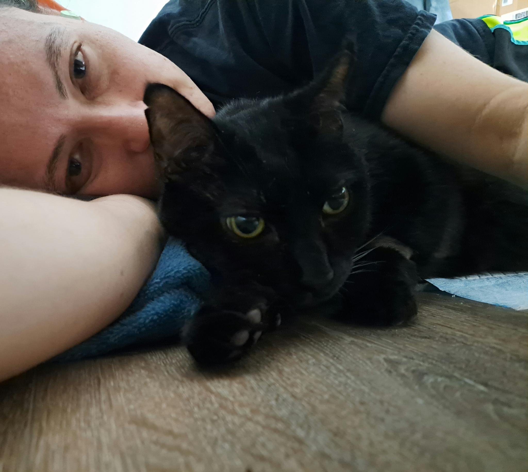 Help My Cat Get Life-Saving Radiation Treatment campaign photo, 4 of 8