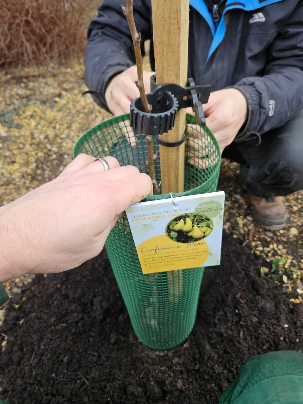 March Community Orchard campaign photo, 6 of 7