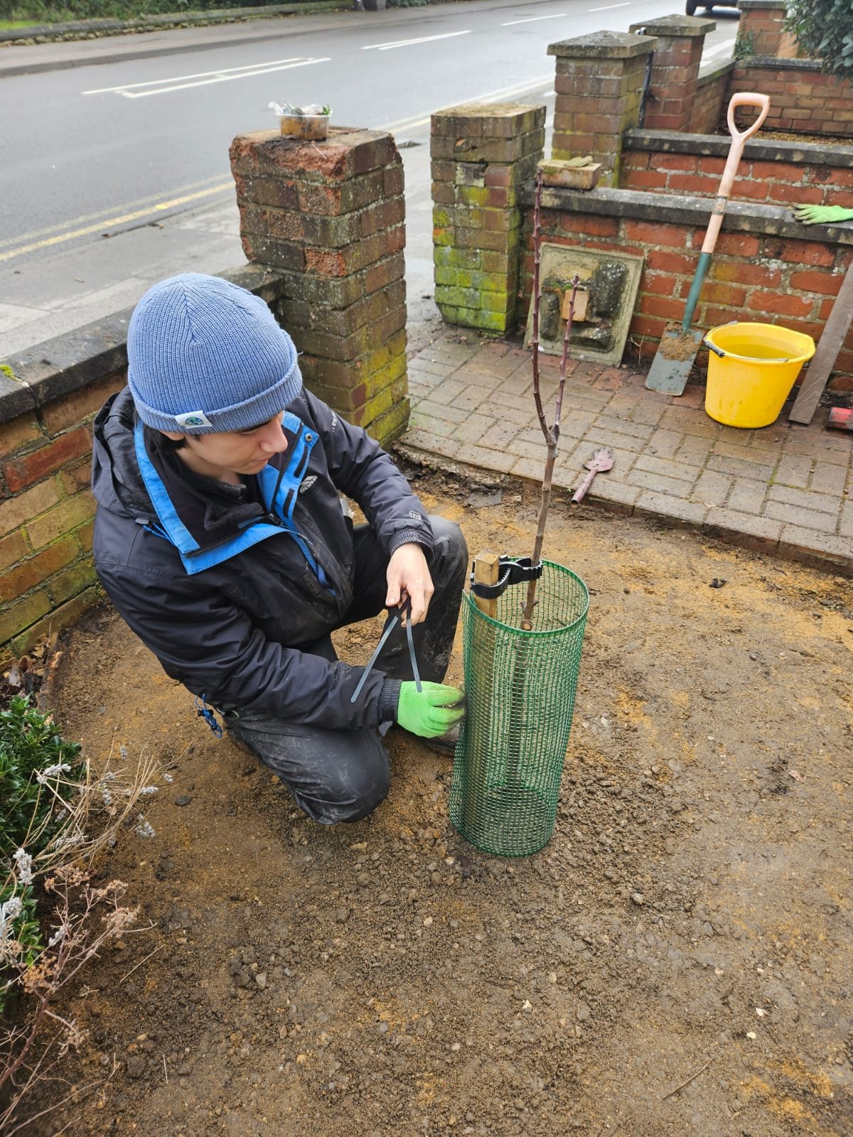March Community Orchard campaign photo, 2 of 7
