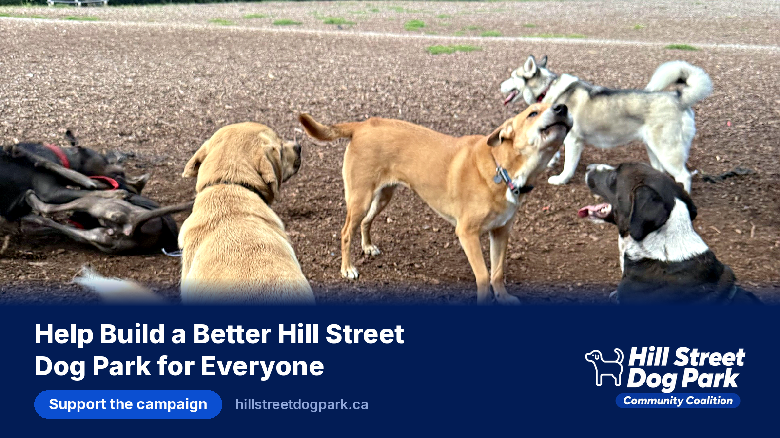 Help Build a Better Hill Street Dog Park for Everyone campaign photo, 4 of 6