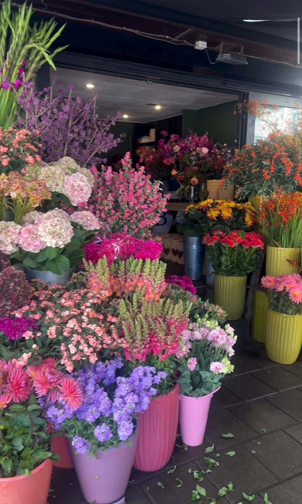 Help Mandy's Bloemenshop weer opbouwen na de brand campaign photo, 4 of 8