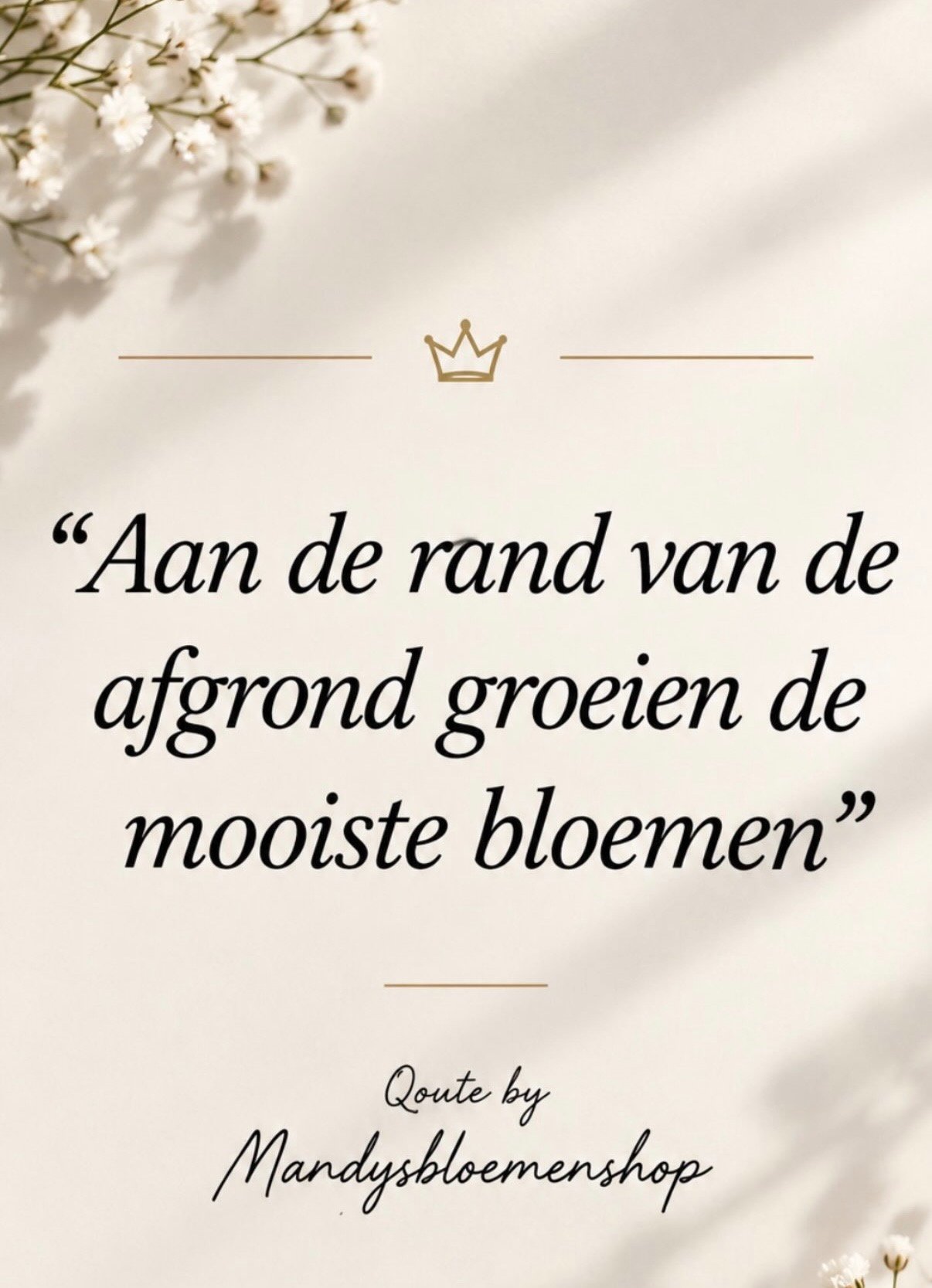 Help Mandy's Bloemenshop weer opbouwen na de brand campaign photo, 6 of 8