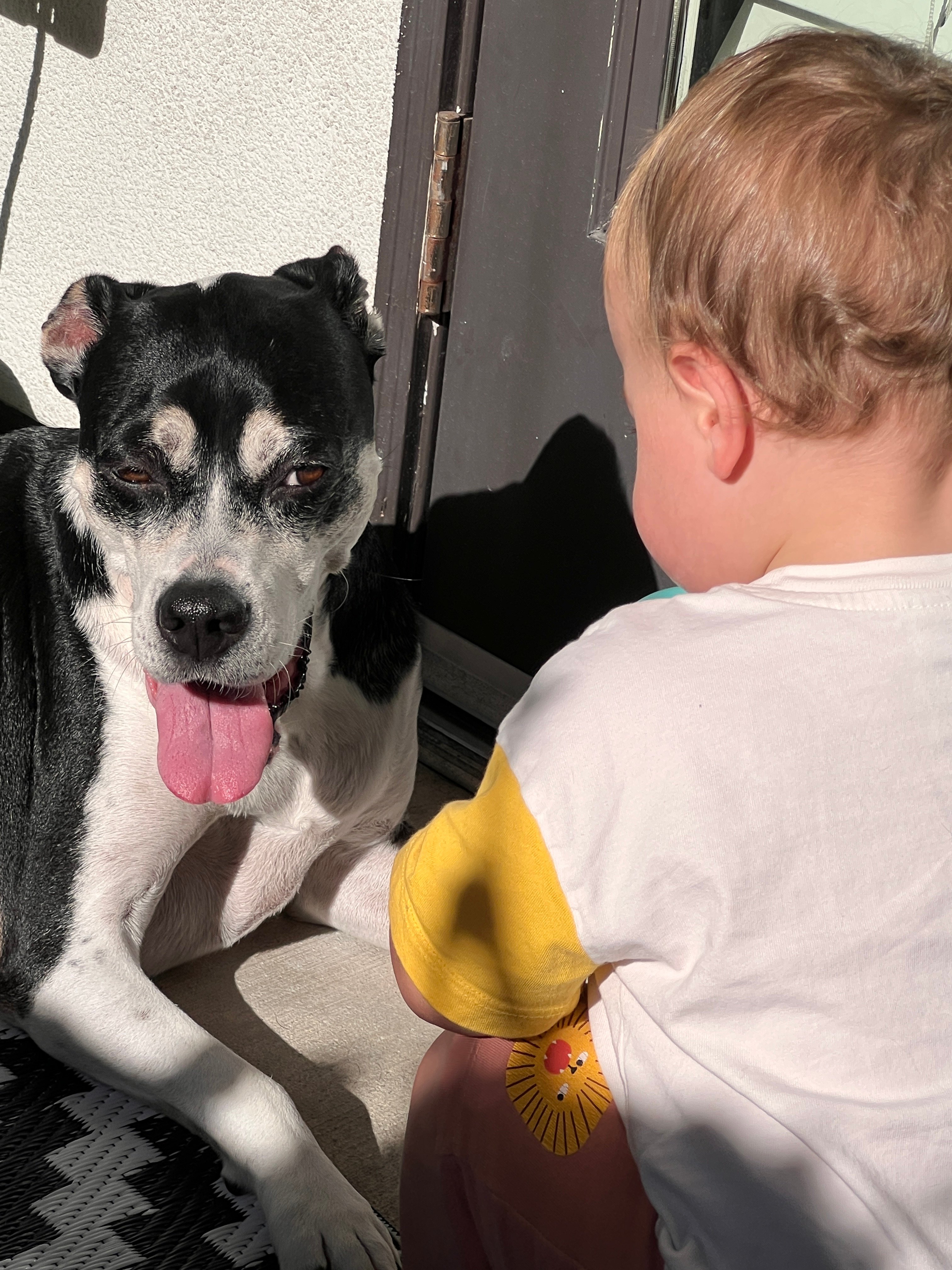 Help Pepper Fight Bone Cancer campaign photo, 5 of 8