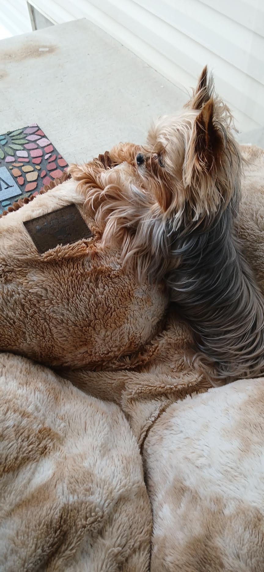 Luna Ella’s Story and Recovery campaign photo, 7 of 8