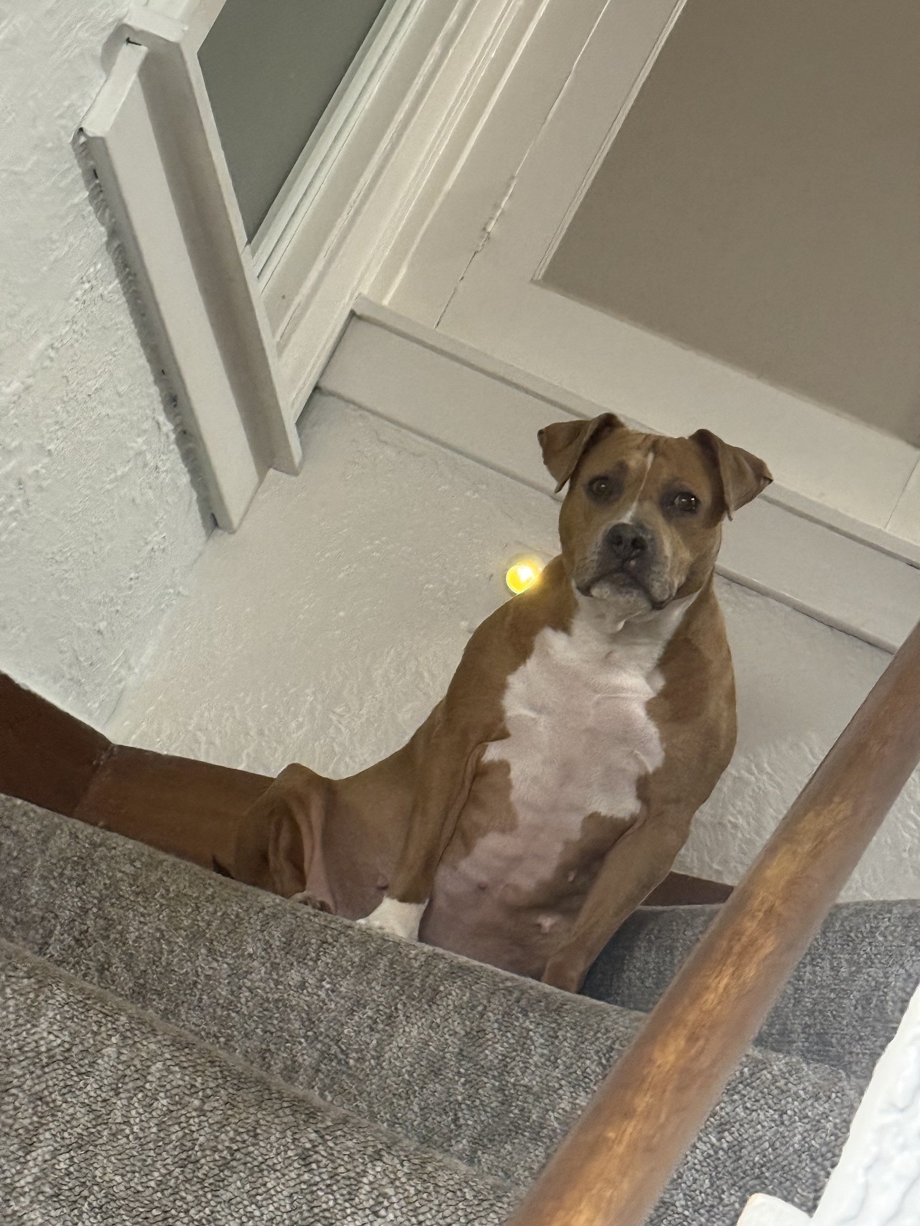 Lana's Tumor Is Back and We're Behind on Rent campaign photo, 4 of 5